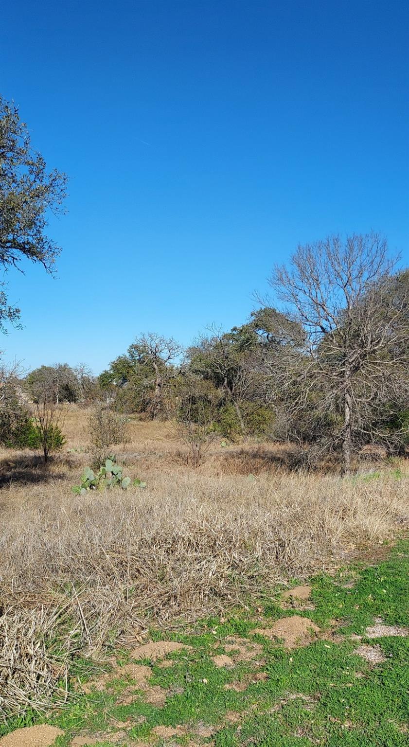 Lot 50 Pristine PASS — photo 5
