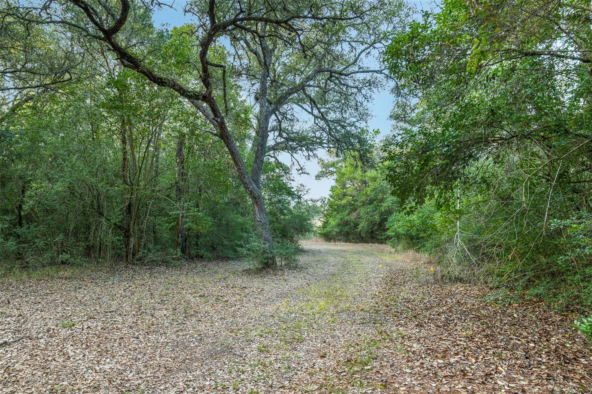 1200 Highway 71 BYP — photo 4