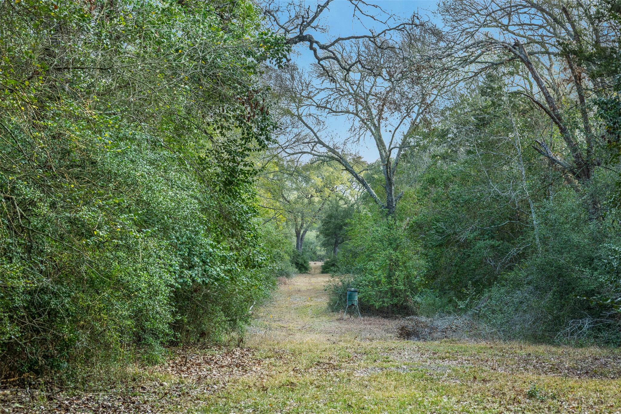 1200 Highway 71 BYP — photo 5
