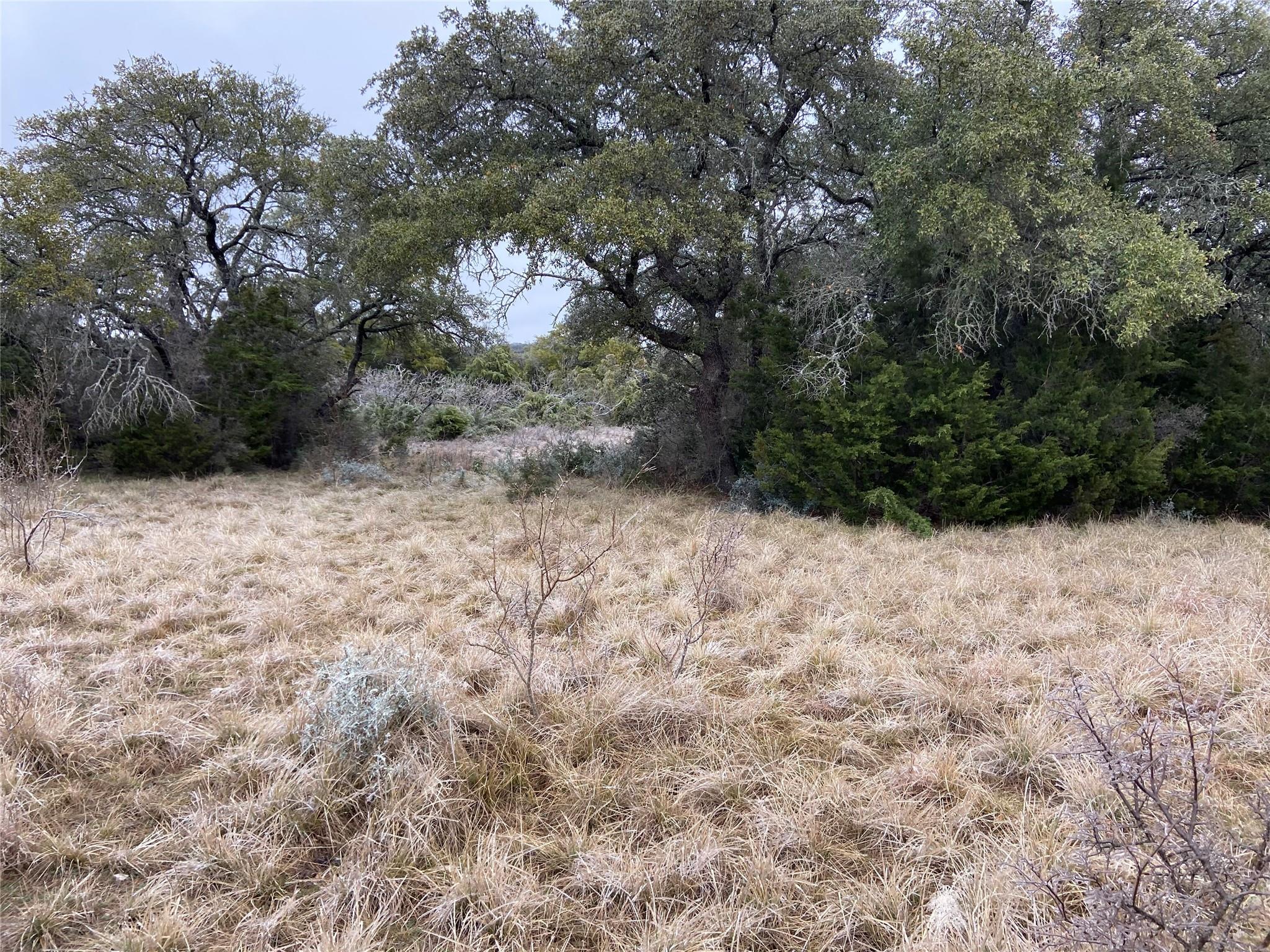TBD County Road 450 — photo 3