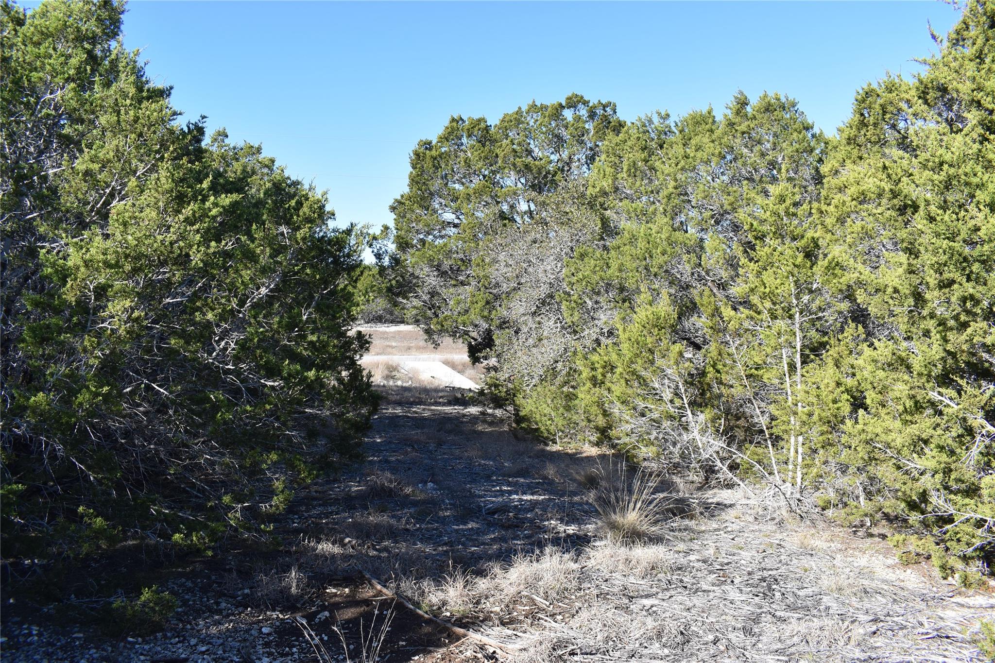 Lot 35 Riparian Elm RD — photo 3