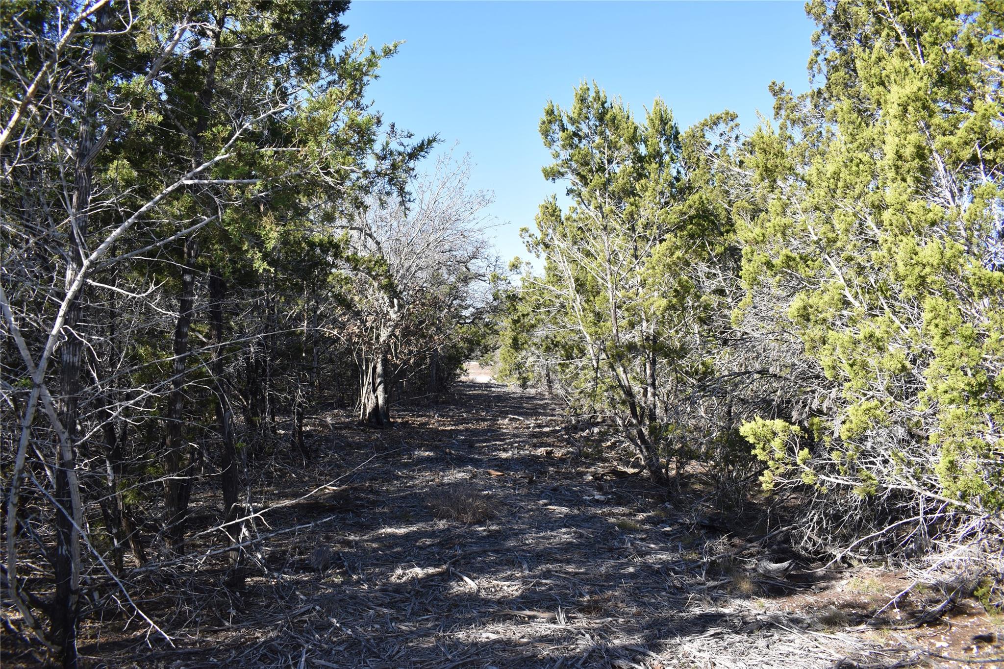 Lot 35 Riparian Elm RD — photo 4