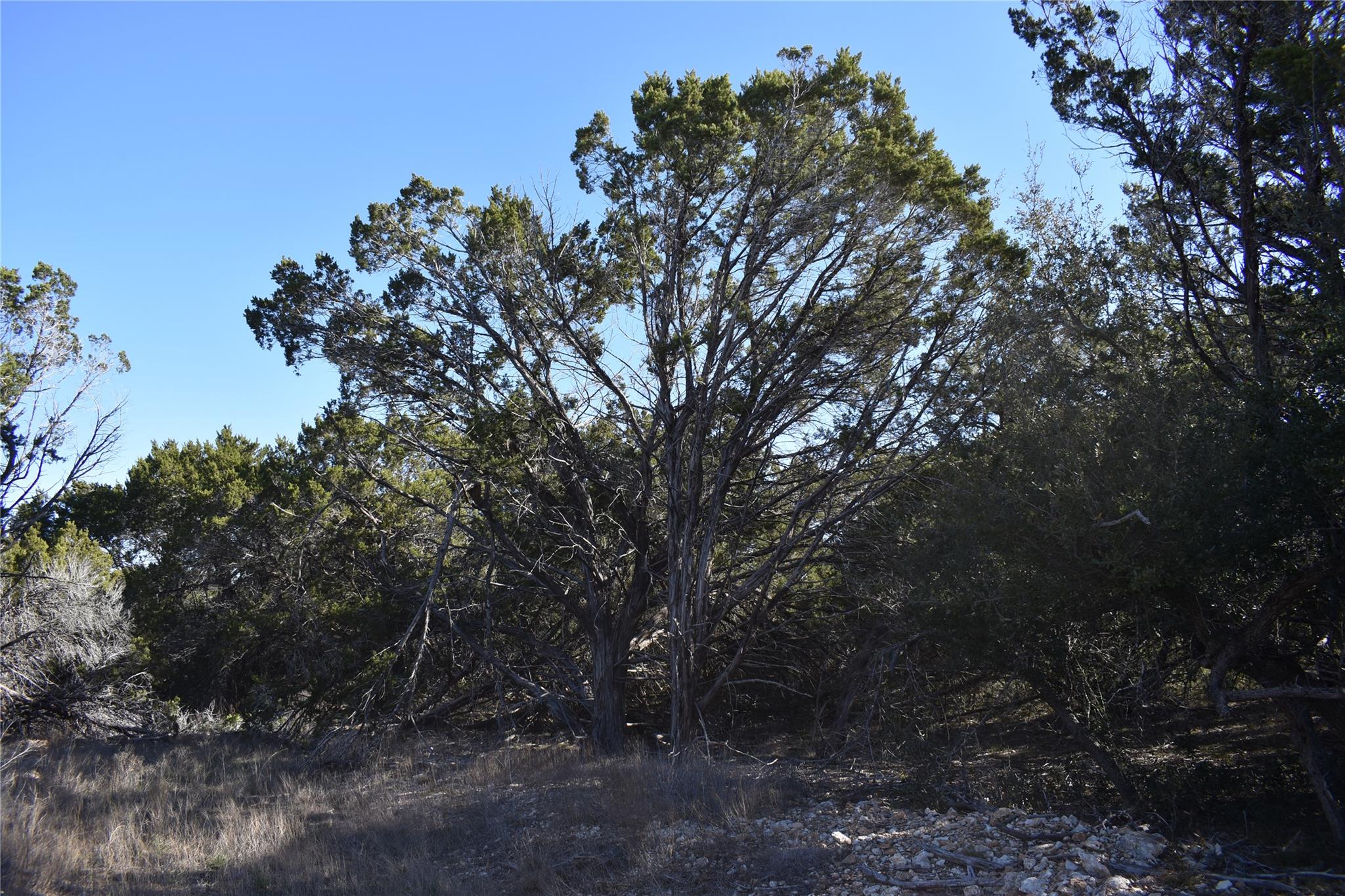 Lot 35 Riparian Elm RD — photo 5