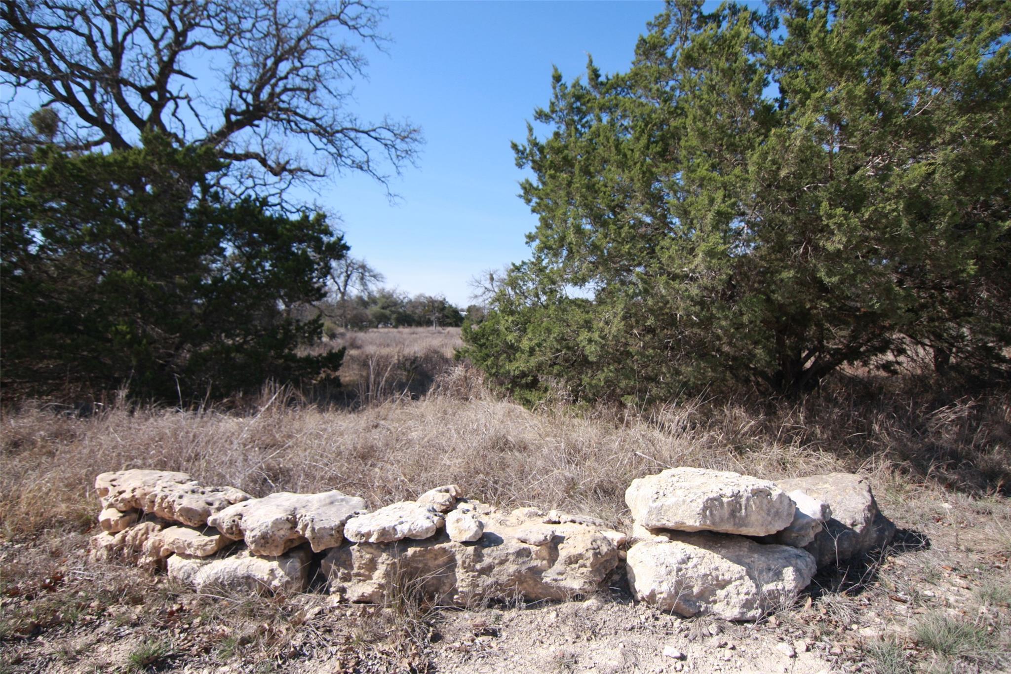 105 Daisy LN — photo 4