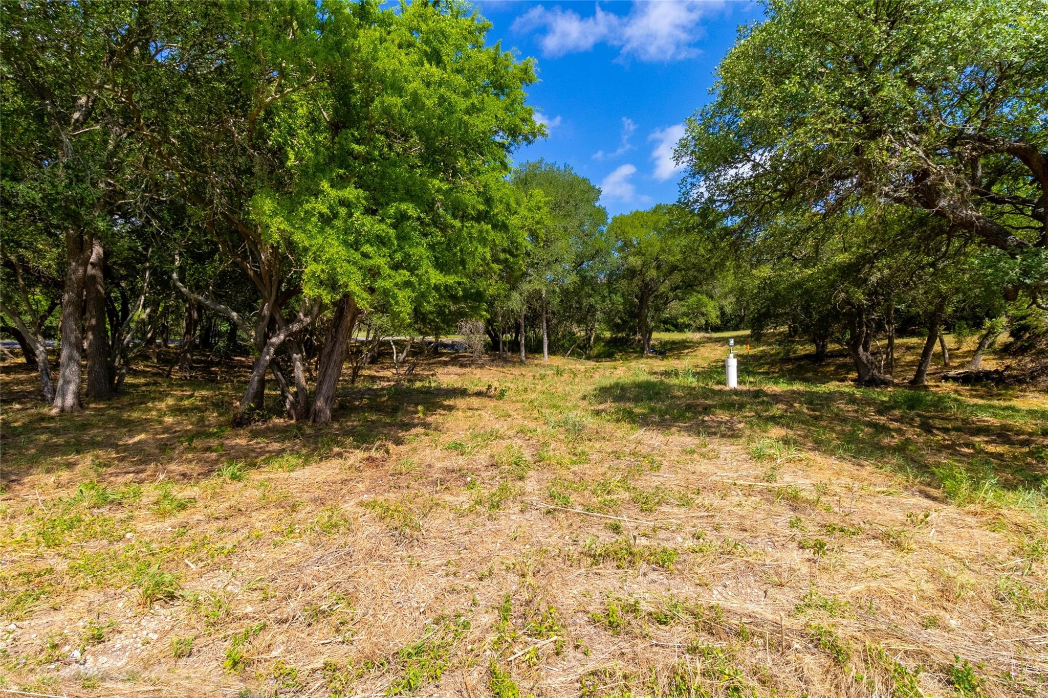 420 Blanco River Ranch BLVD — photo 4