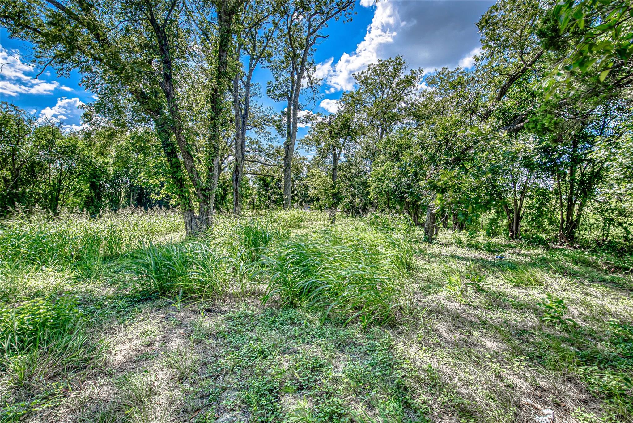 722 Lbj DR — photo 4