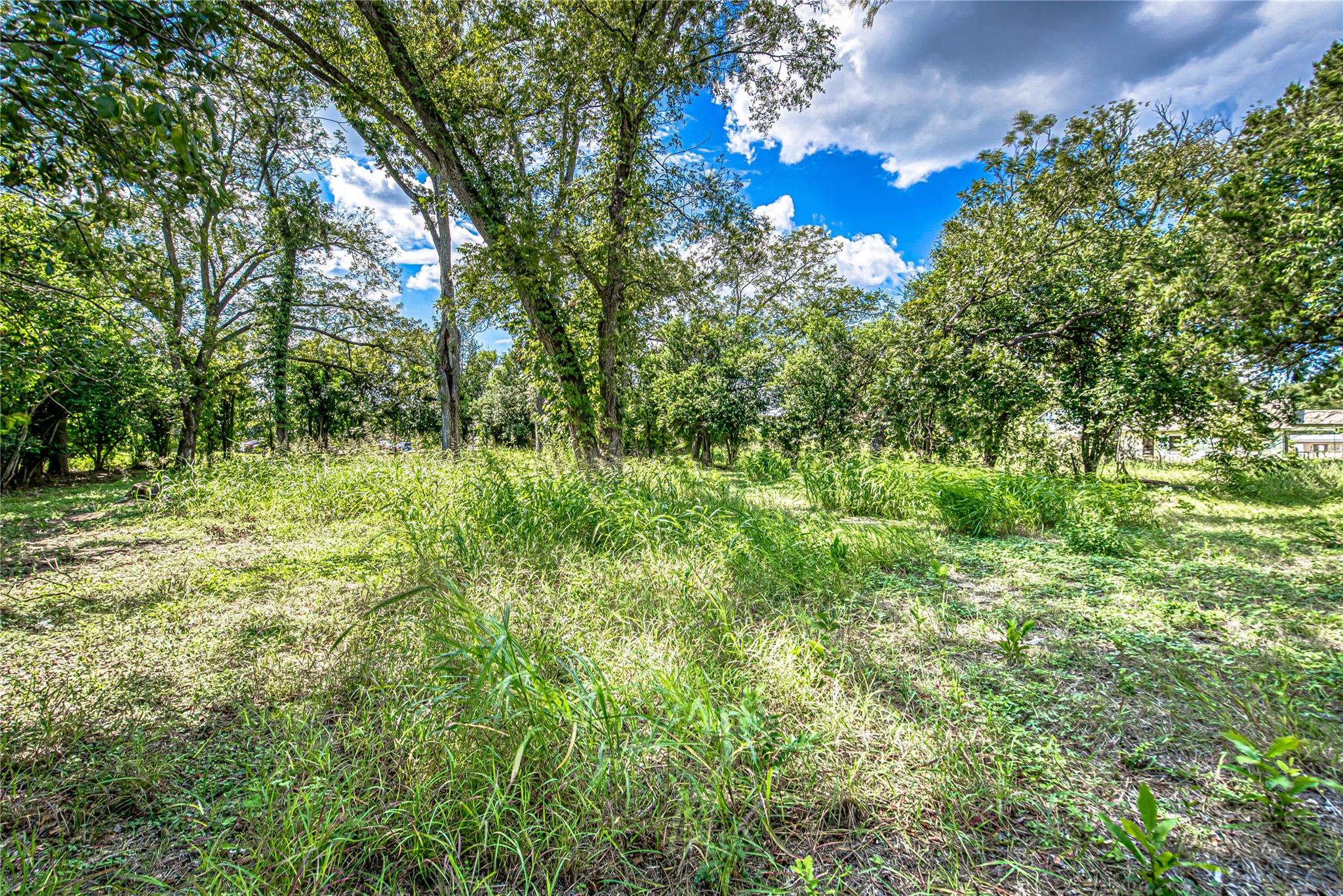 722 Lbj DR — photo 5