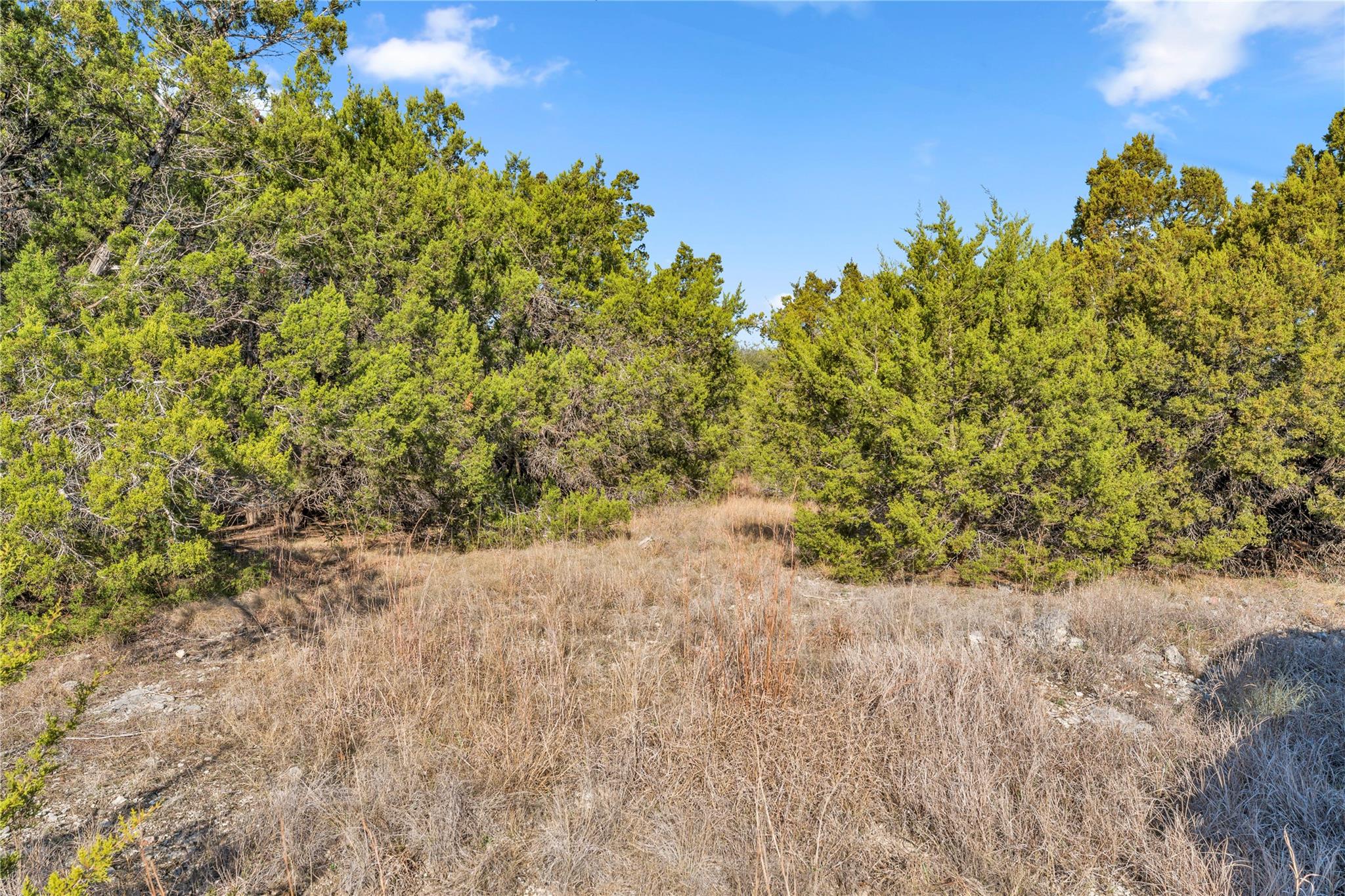 8614 Bar K Ranch RD — photo 5
