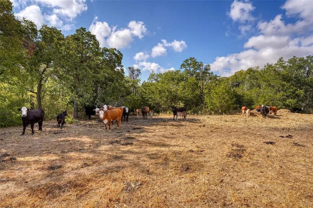 Tract 8 CR 450 — photo 4