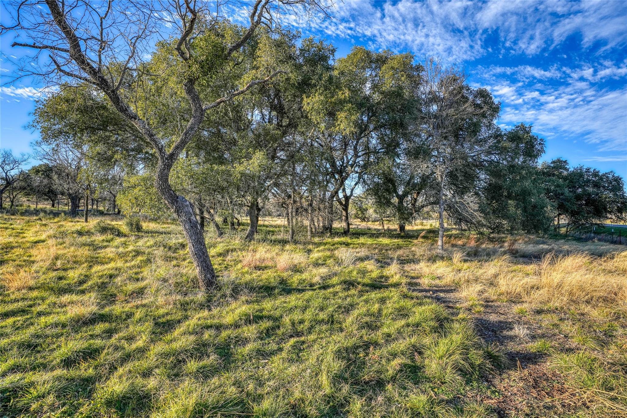 1010 Ranch Road 2831 — photo 3