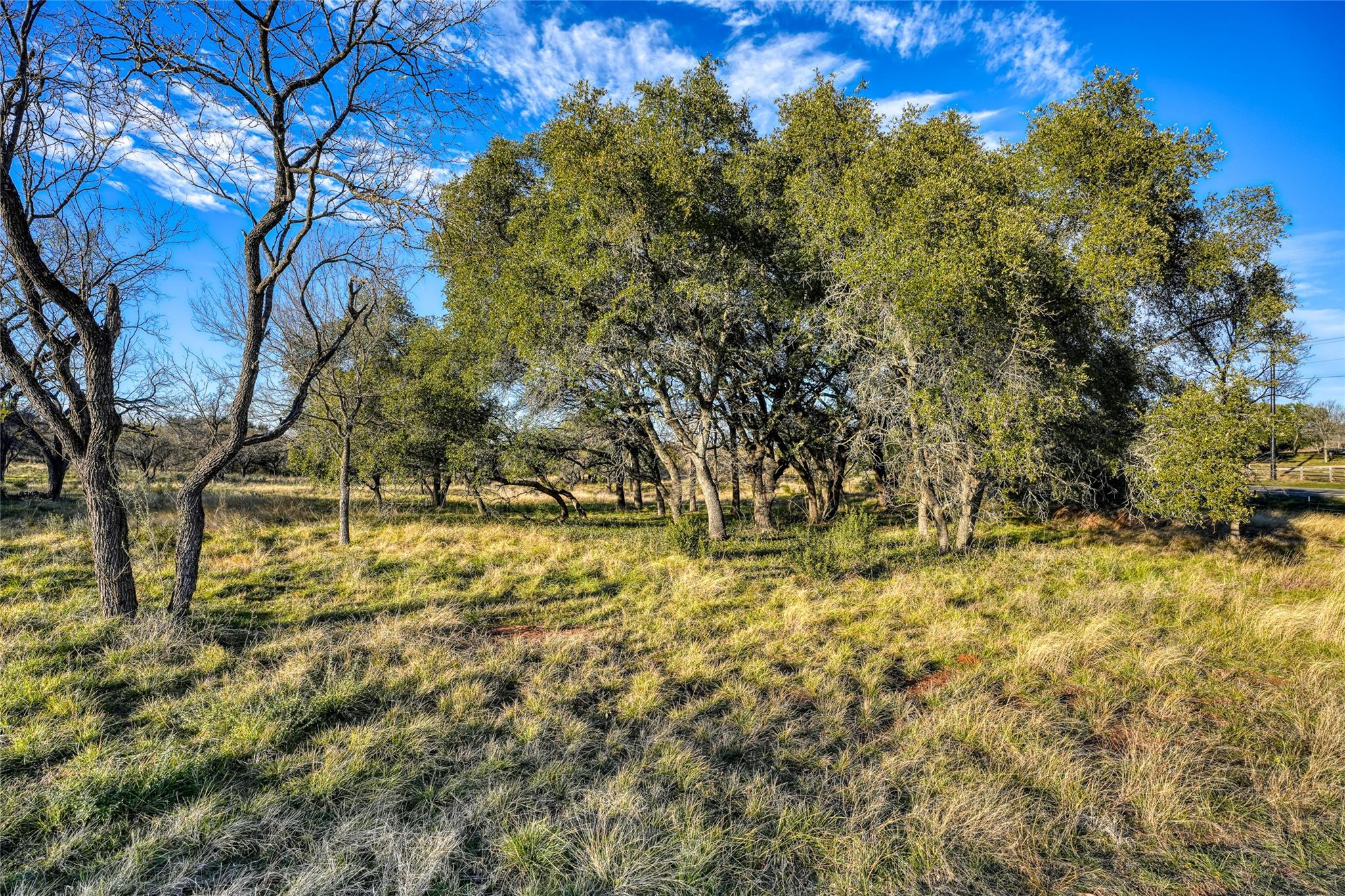 1010 Ranch Road 2831 — photo 4