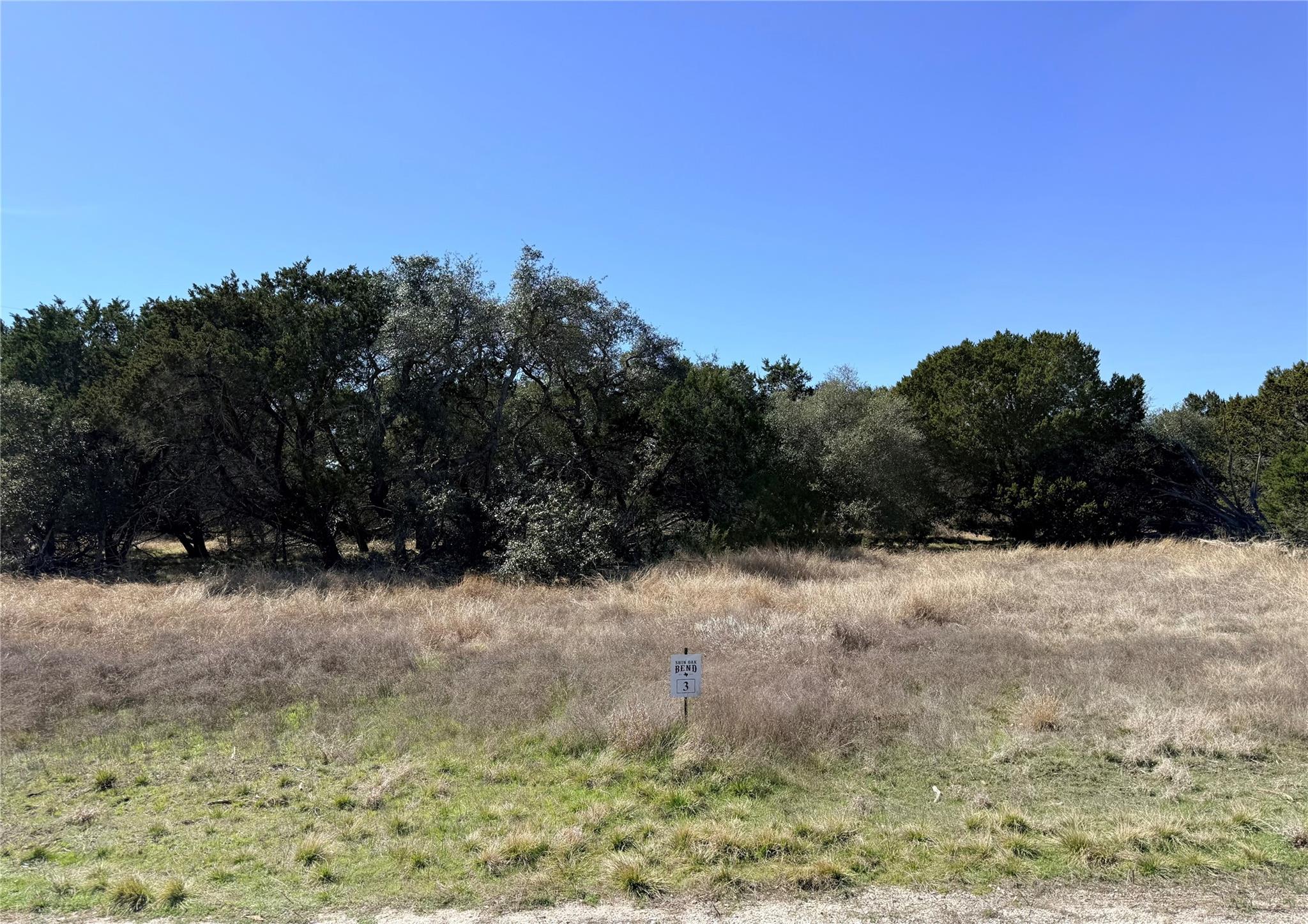 00 Riparian Elm RD #3 — photo 3