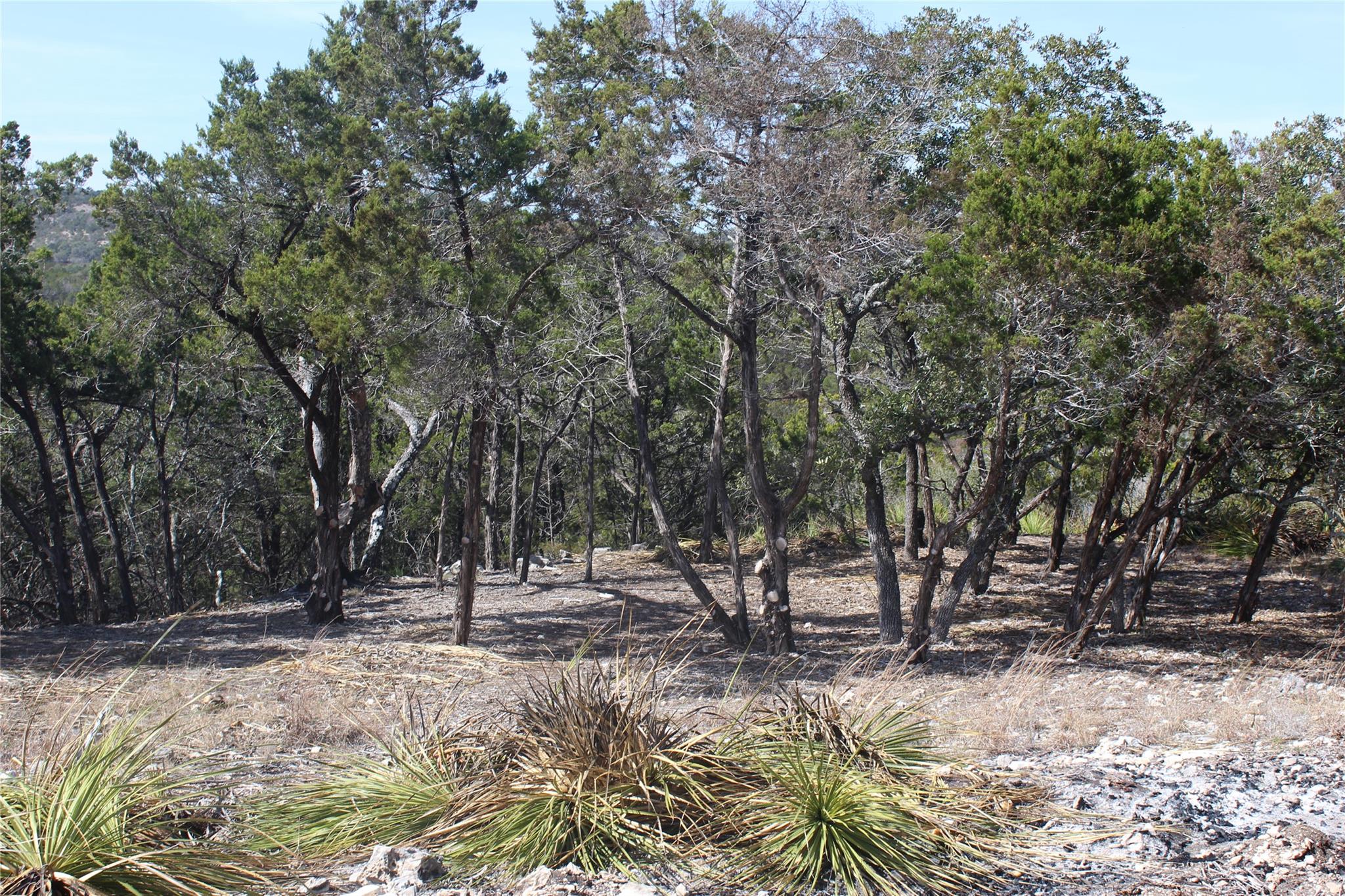 2102 Montell RD — photo 4