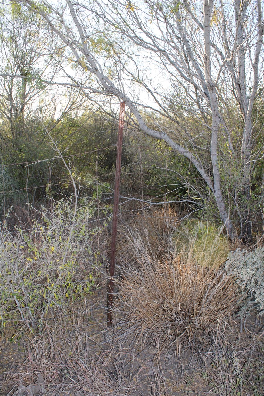 0000 CR 339 — photo 3