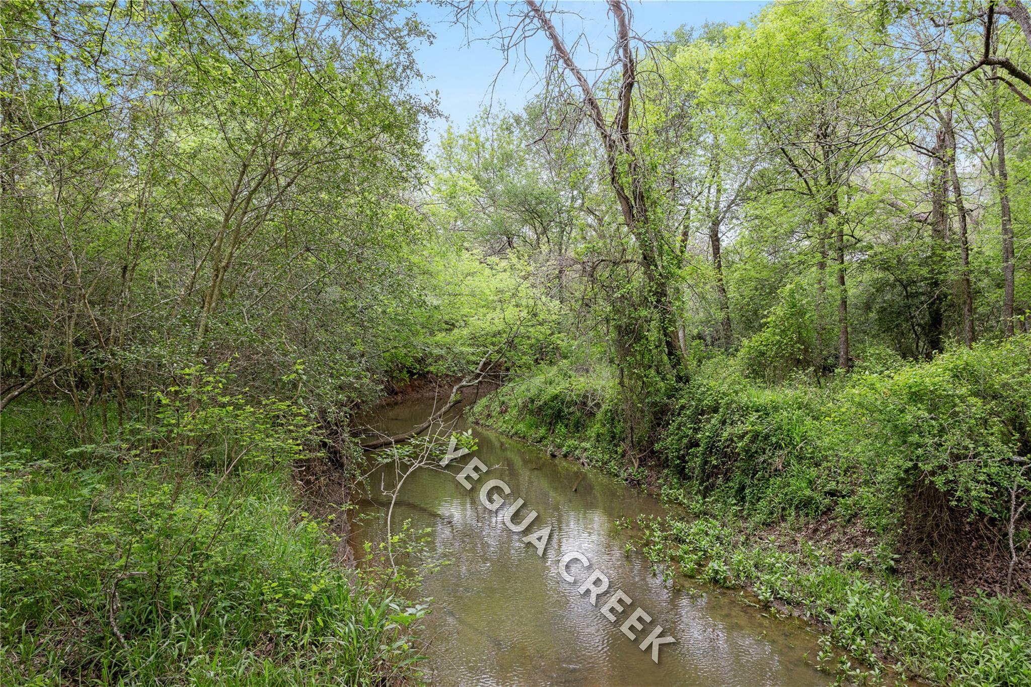 TBD County Road 433 — photo 4