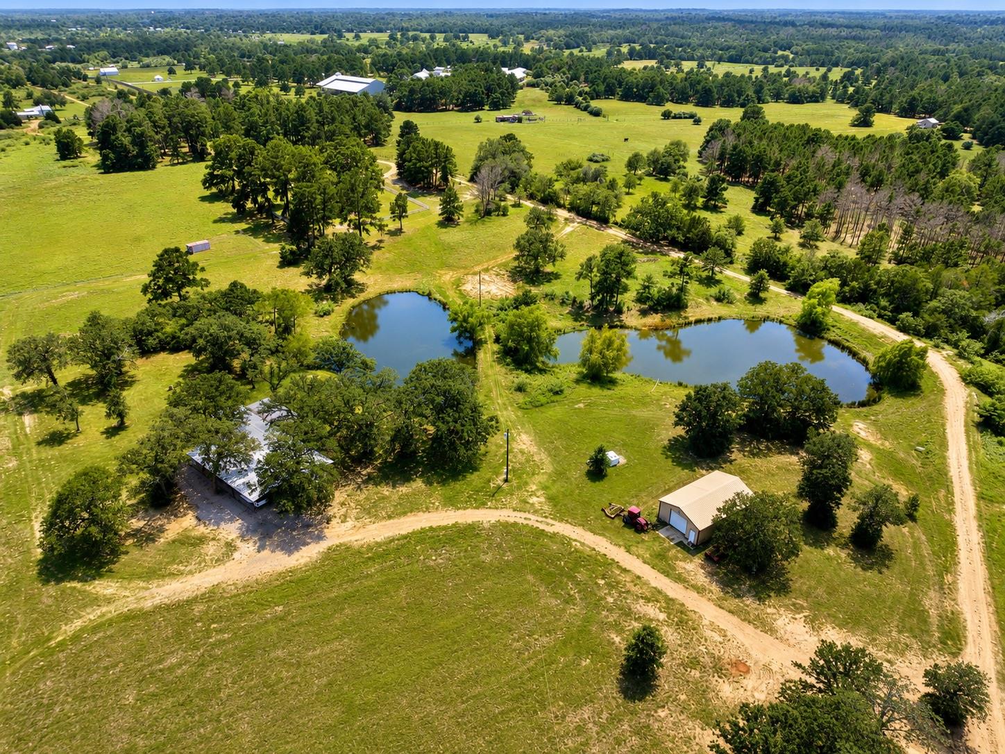 318 Grey Wolf LN