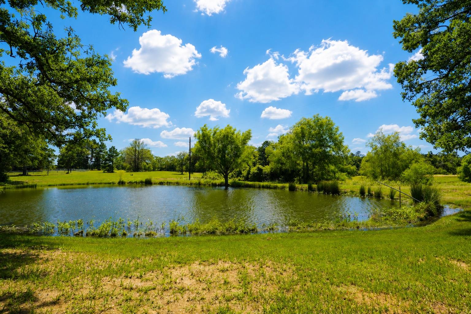 318 Grey Wolf LN — photo 4