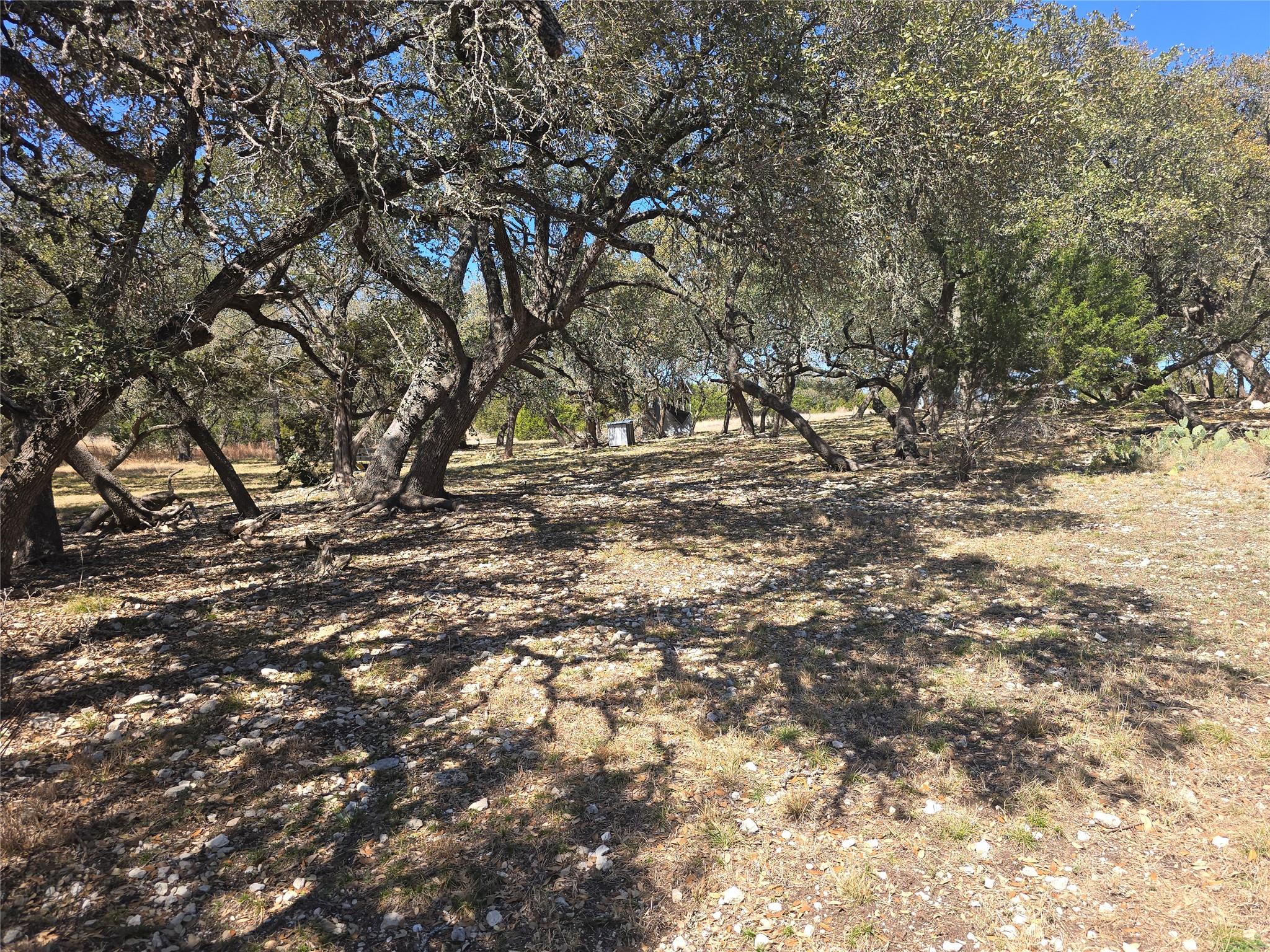 230 Bush Bok DR — photo 3
