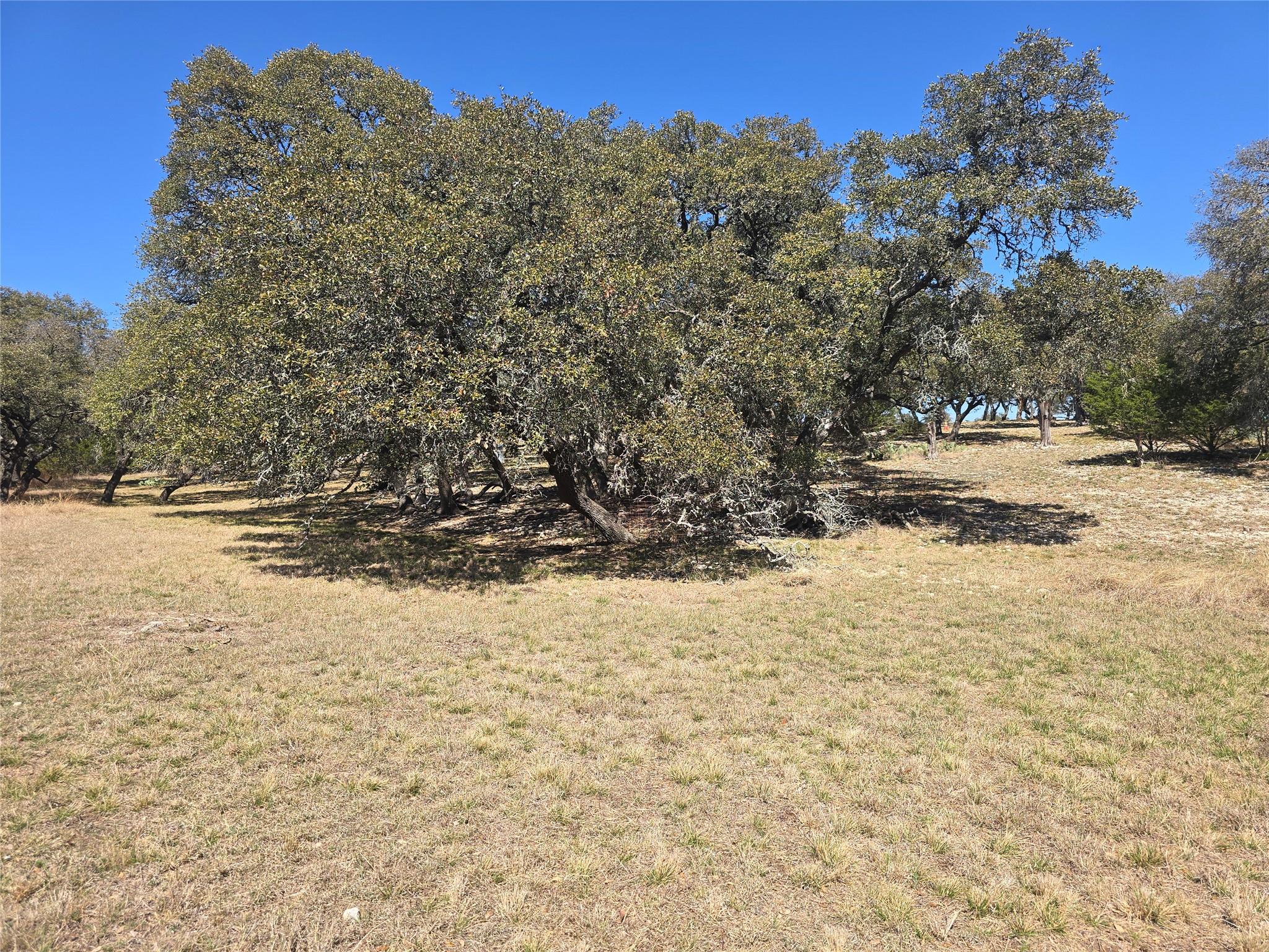 lot 211 Axis WAY — photo 3