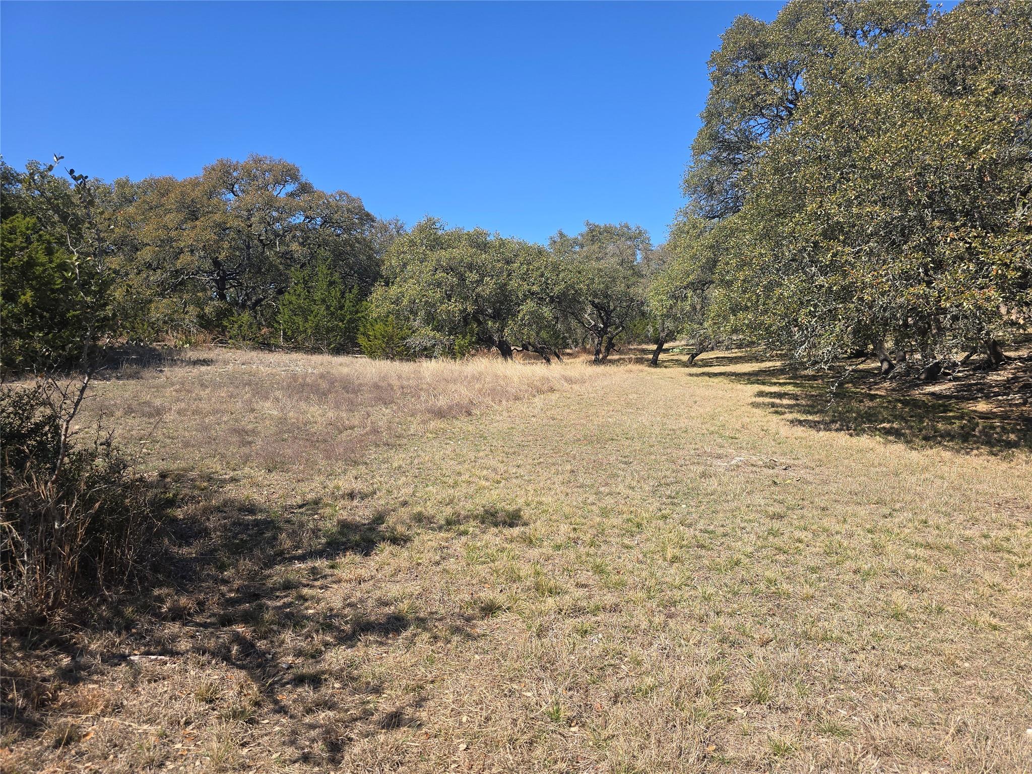 lot 211 Axis WAY — photo 4