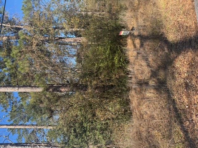 Undisclosed address — photo 3