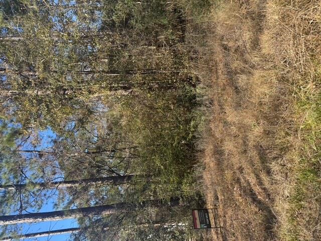 Undisclosed address — photo 4