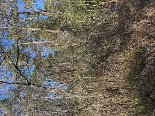 Undisclosed address — photo 5