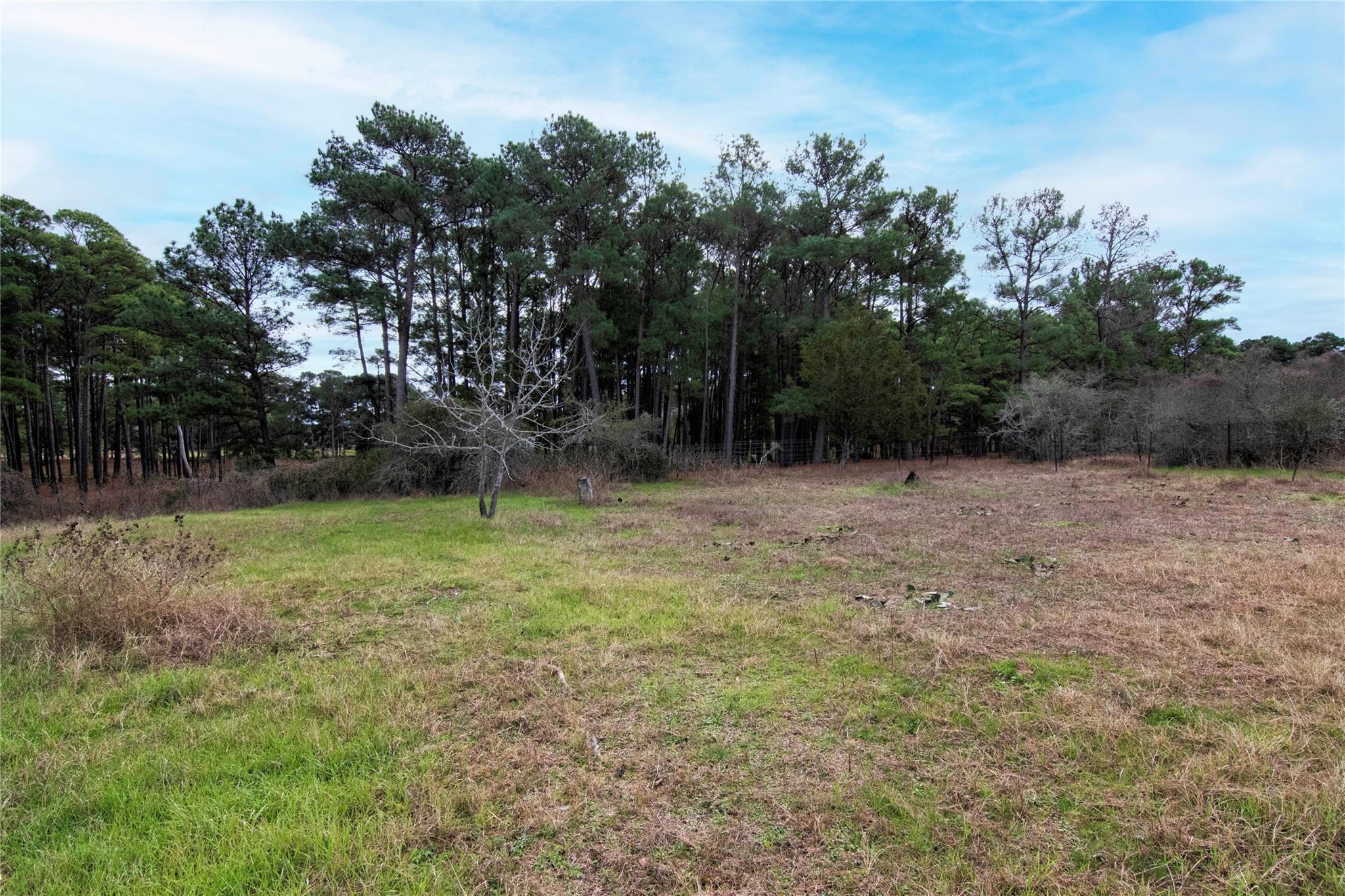 5431 HWY 77 — photo 4