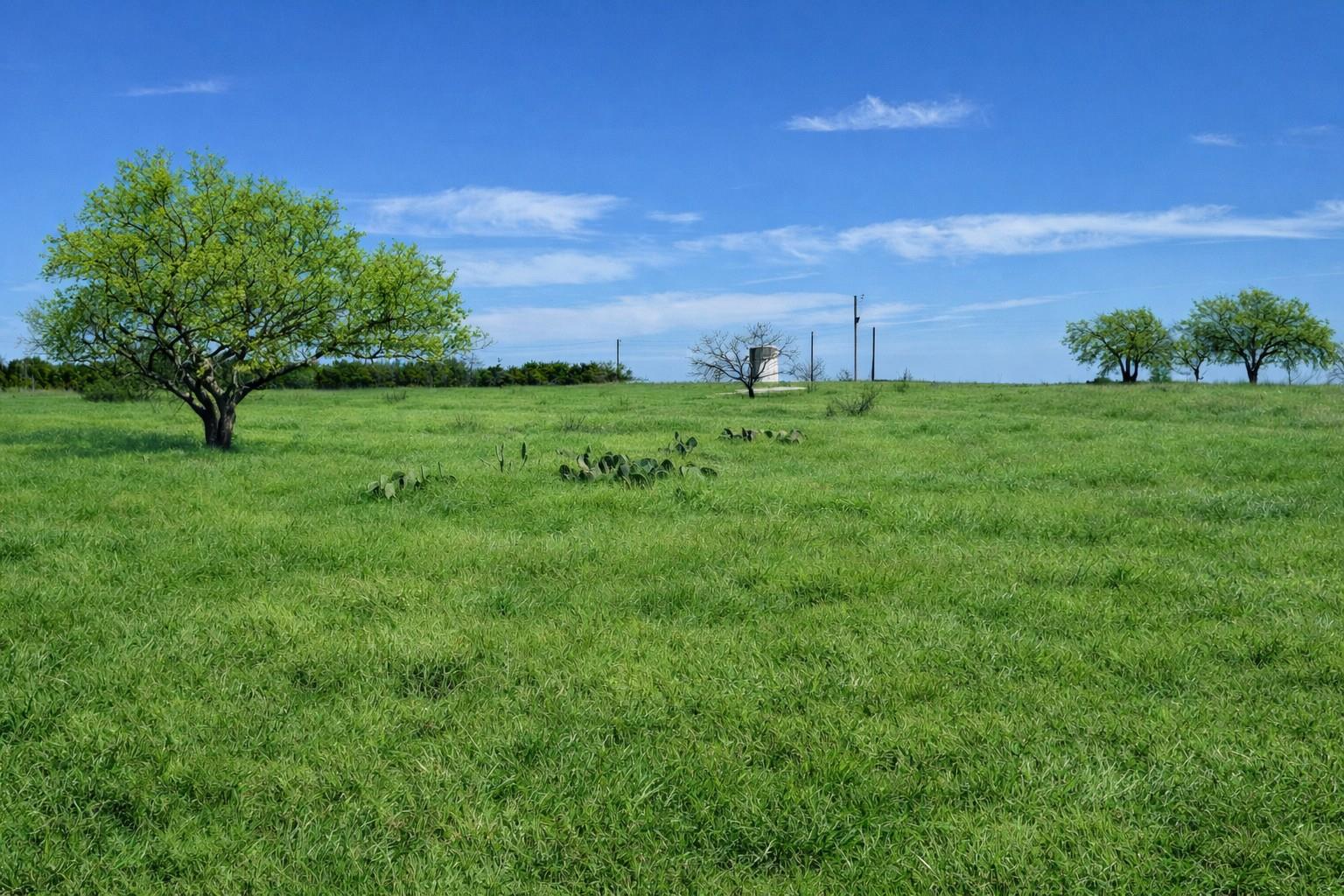 TBD View CIR — photo 3