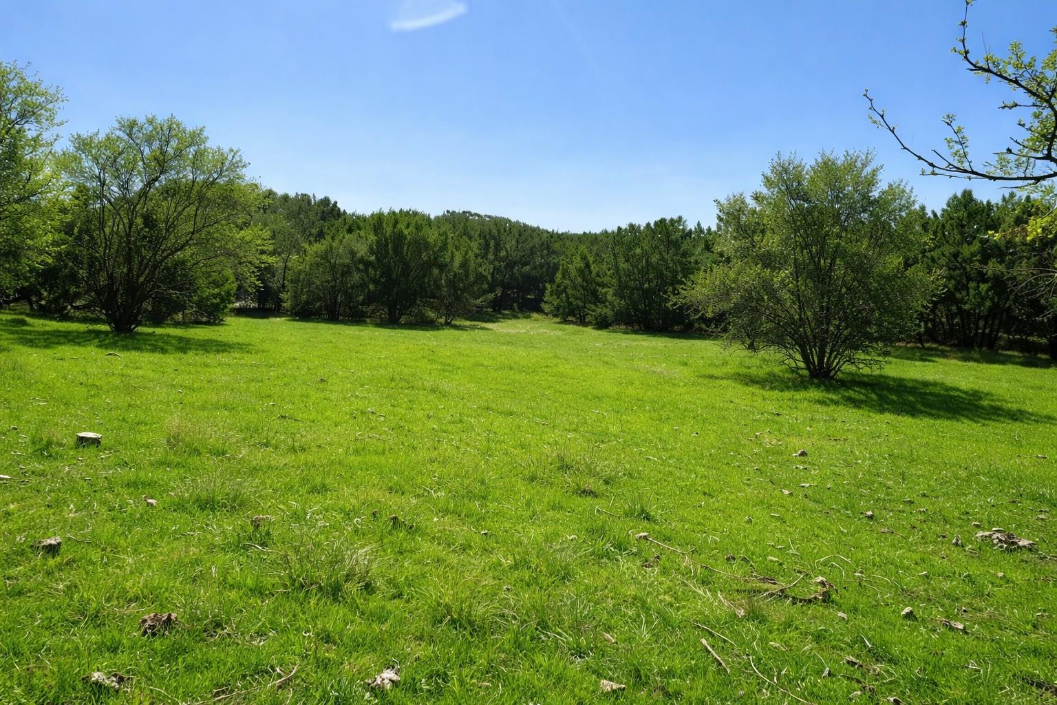 TBD View CIR — photo 4