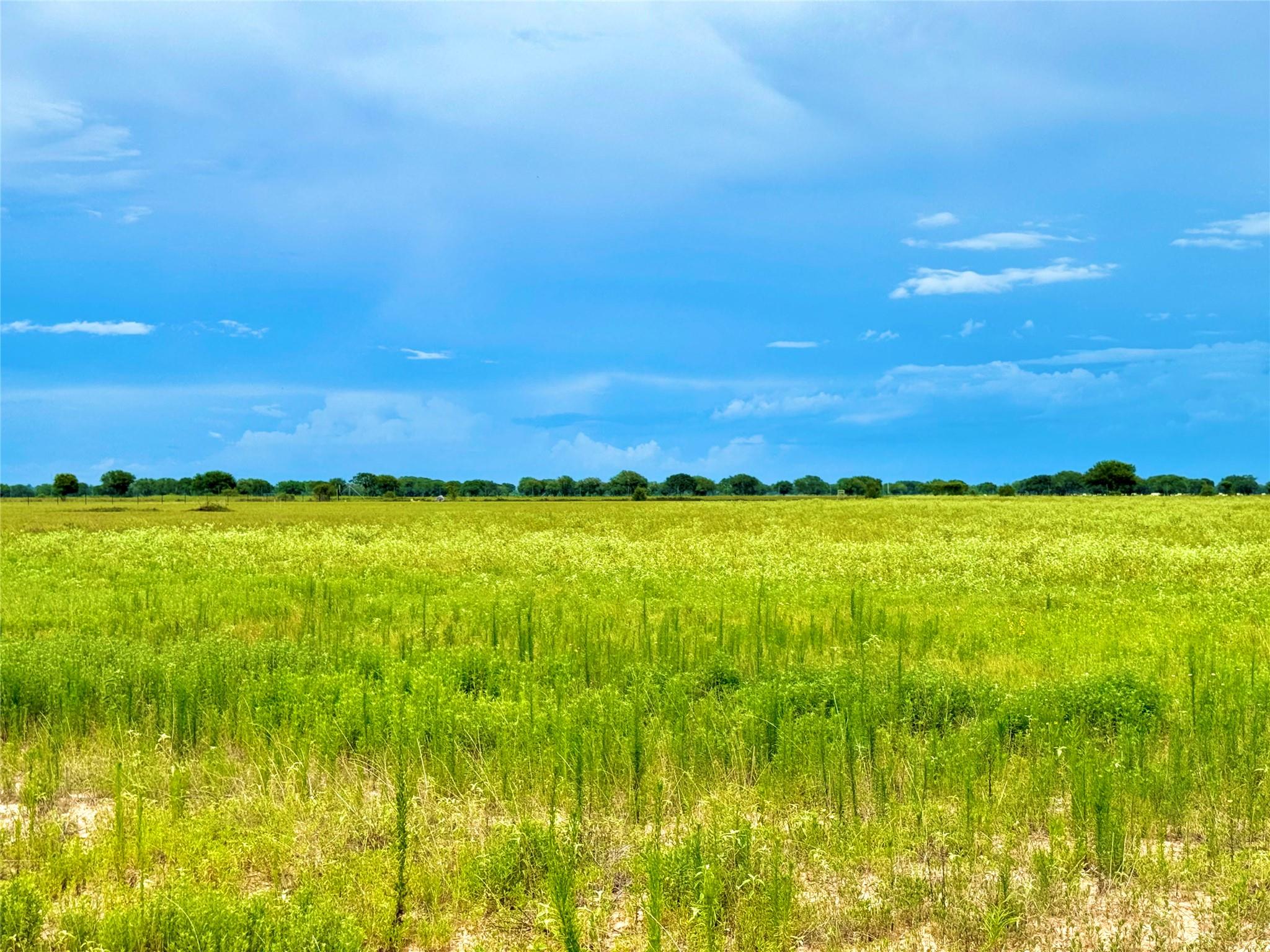 TBD Tract 105 Pin Tail LN — photo 4