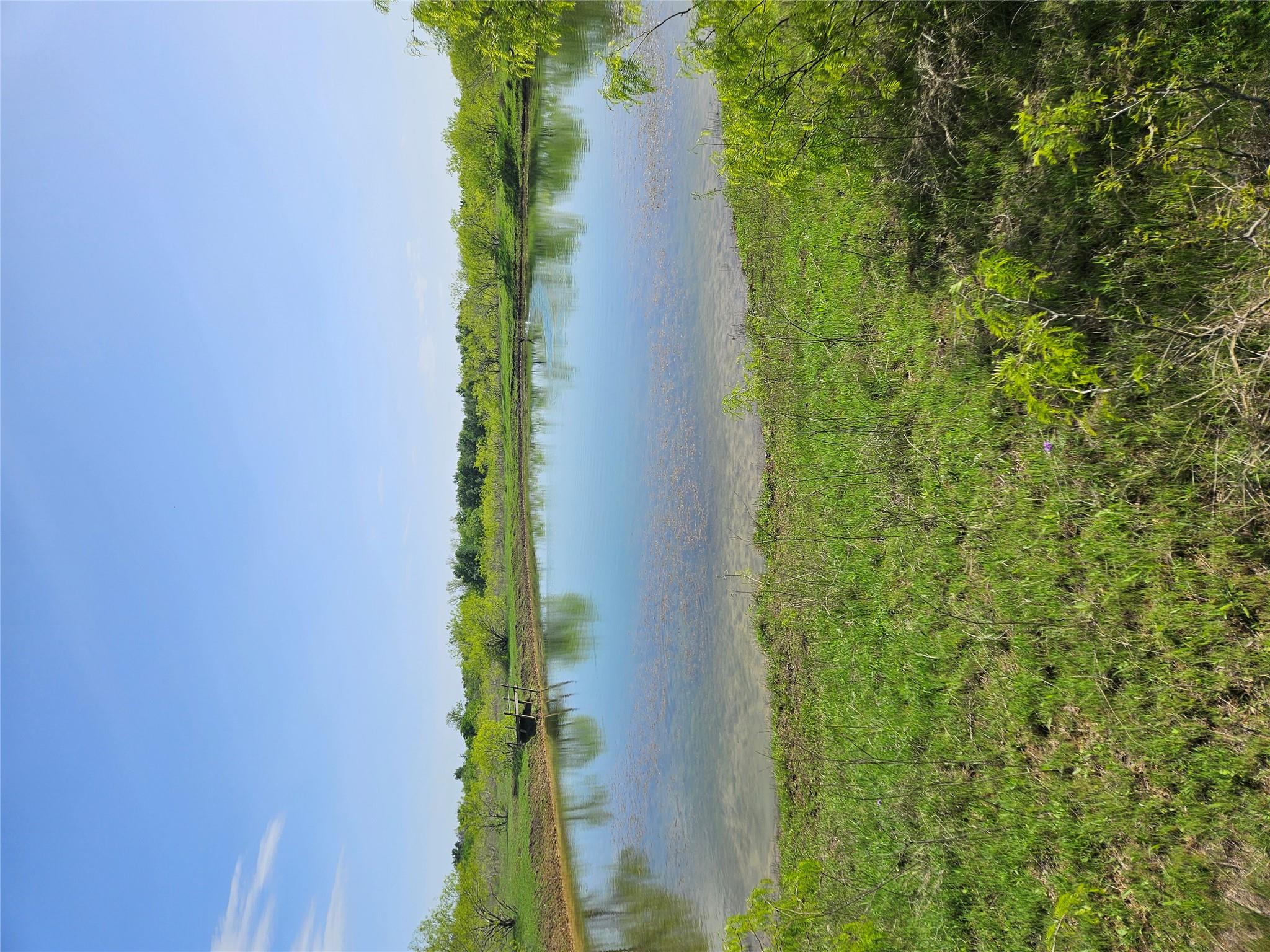 1988 CR 116 RD — photo 3