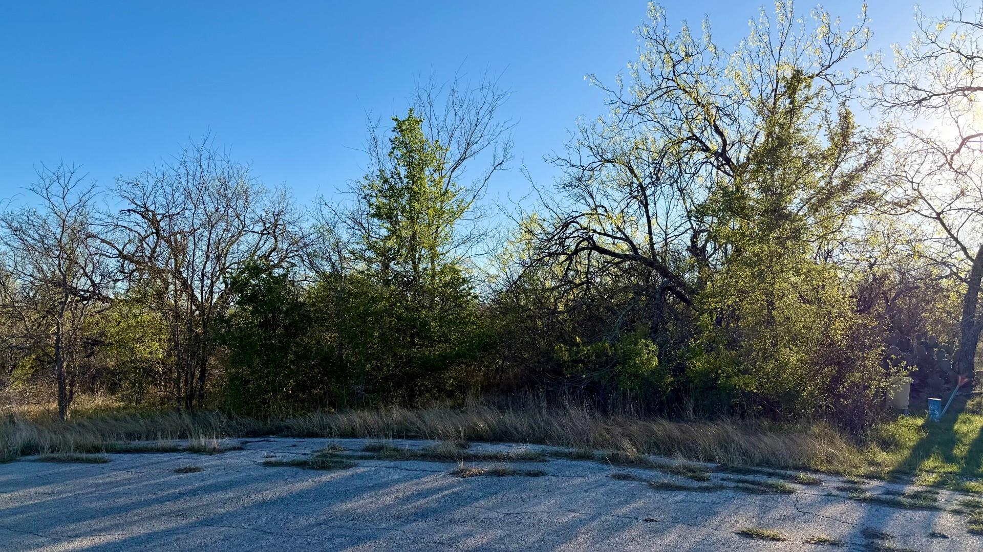 14 Spanish Oaks BLVD — photo 4