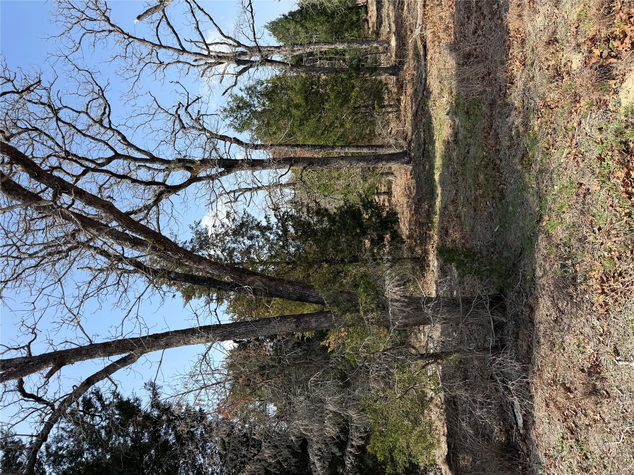 TBD N County Line RD — photo 3
