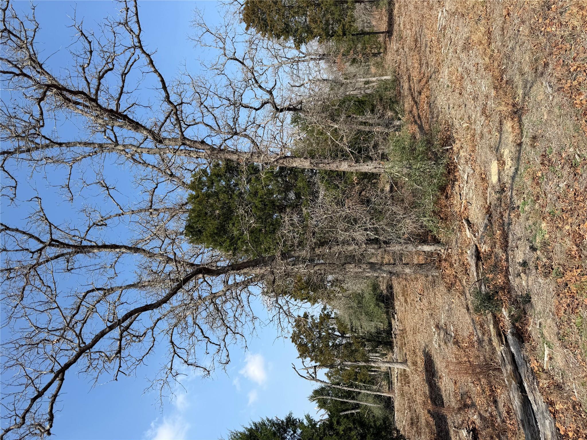 TBD N County Line RD — photo 4