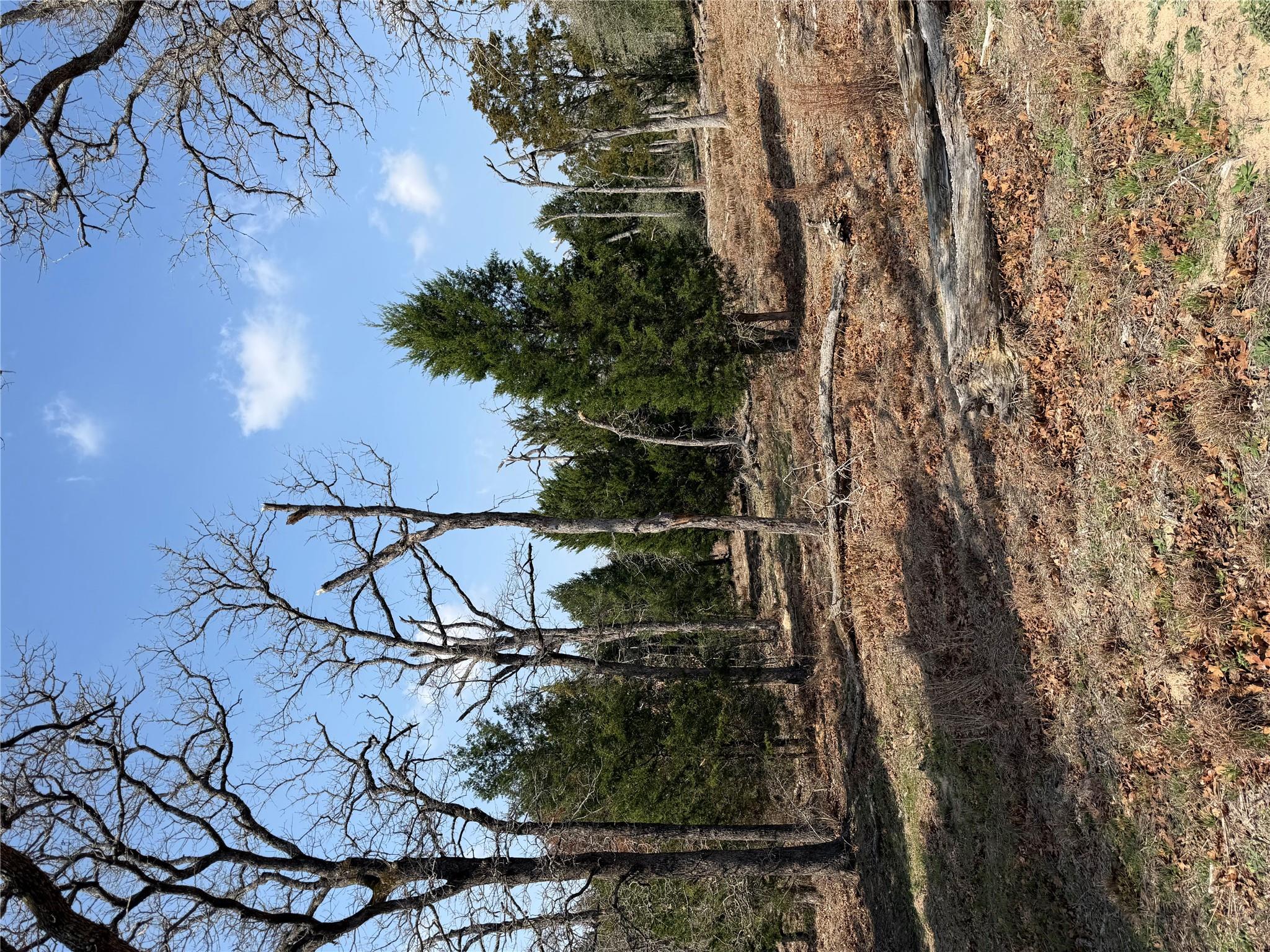 TBD N County Line RD — photo 5