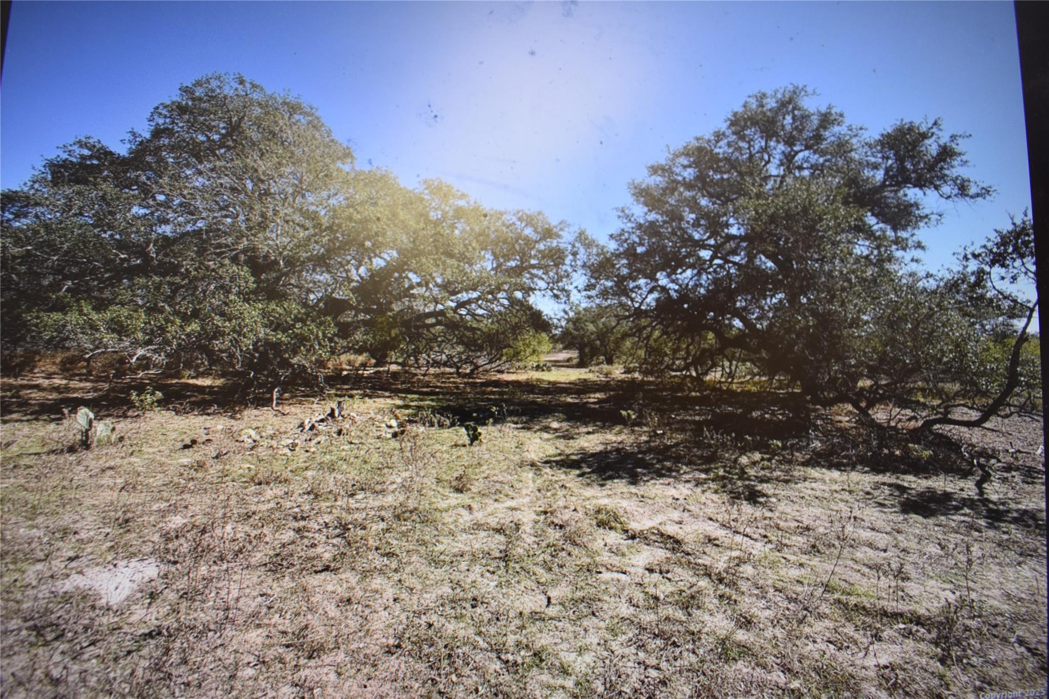 5030 Fm 2504 — photo 3