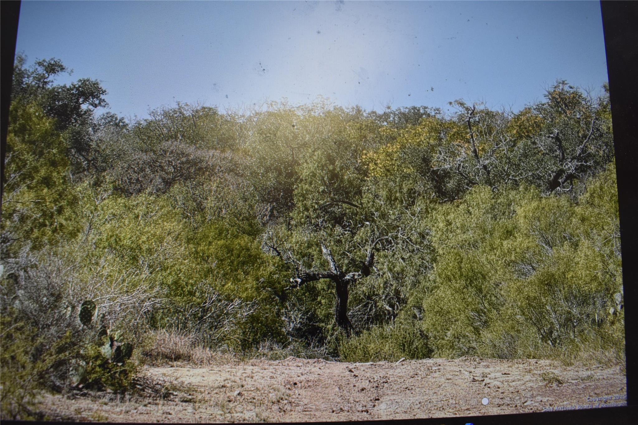 5030 Fm 2504 — photo 4