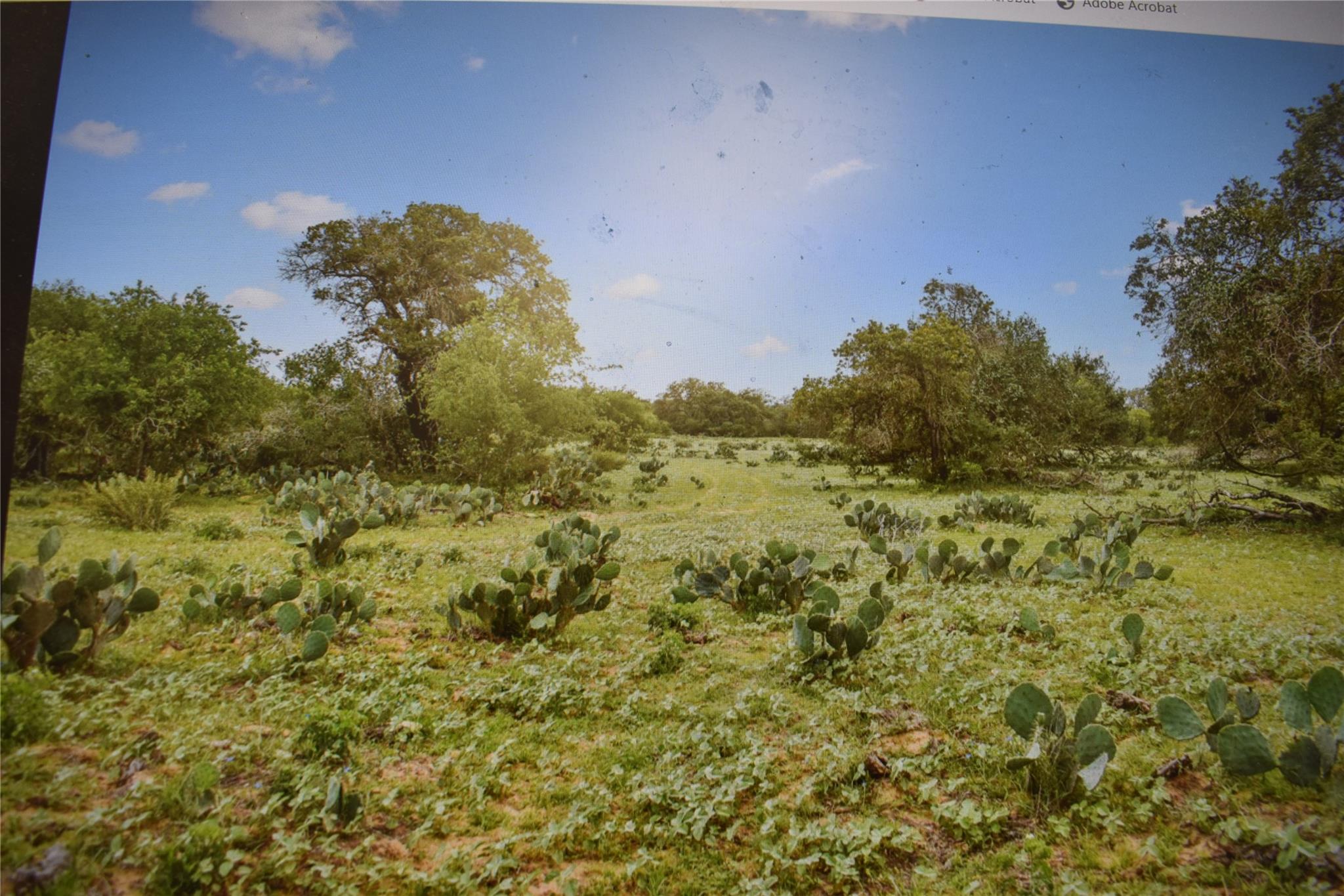 5030 Fm 2504 — photo 5