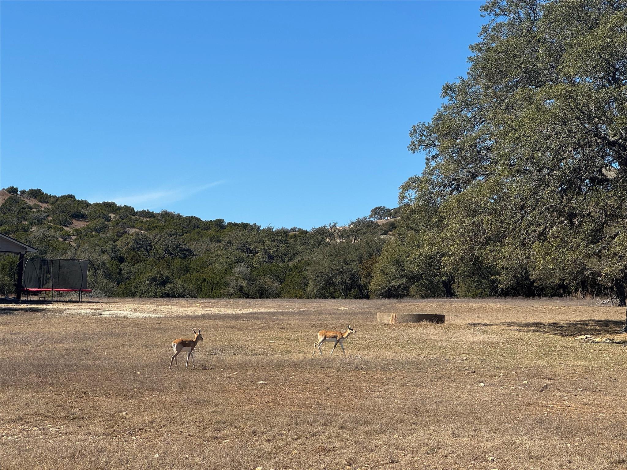 0 Majestic Creek DR #Lot 10 — photo 5