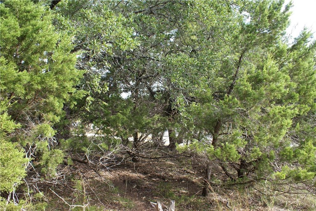 Lot 31 Panorama DR — photo 4