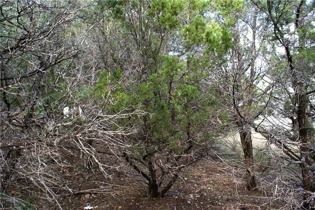 Lot 31 Panorama DR — photo 5