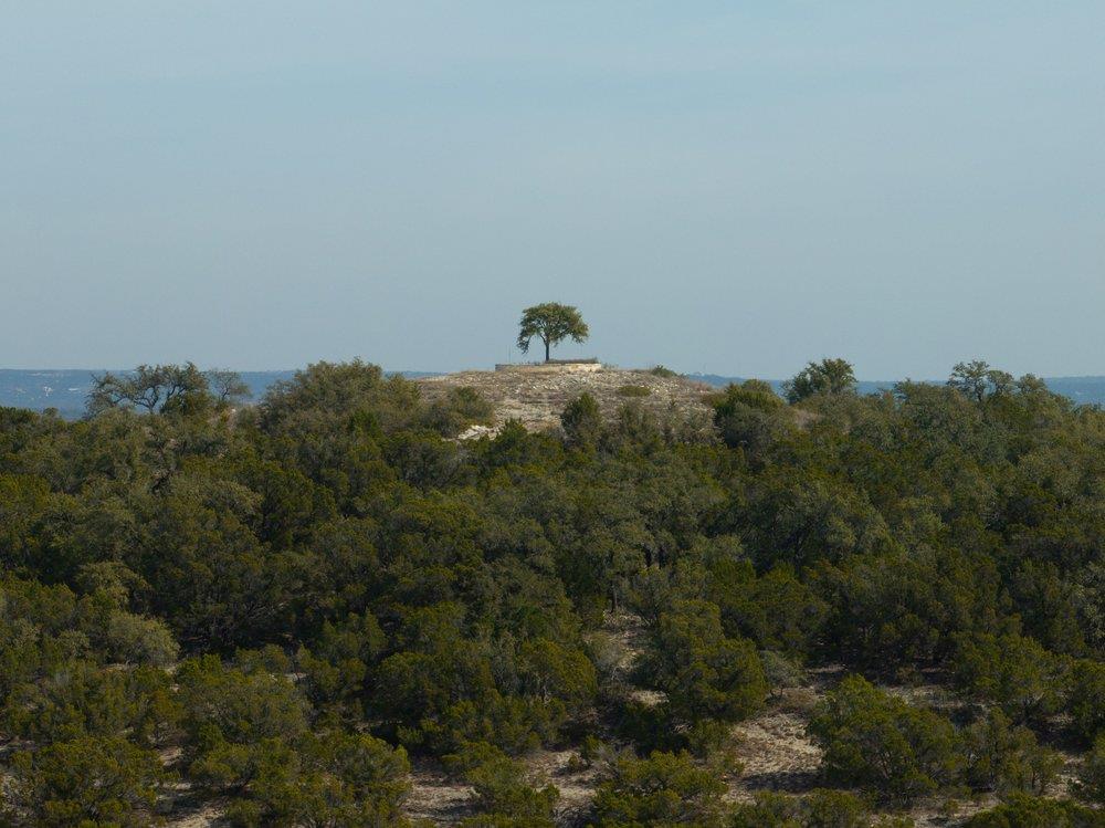6026 Sentry PT — photo 4