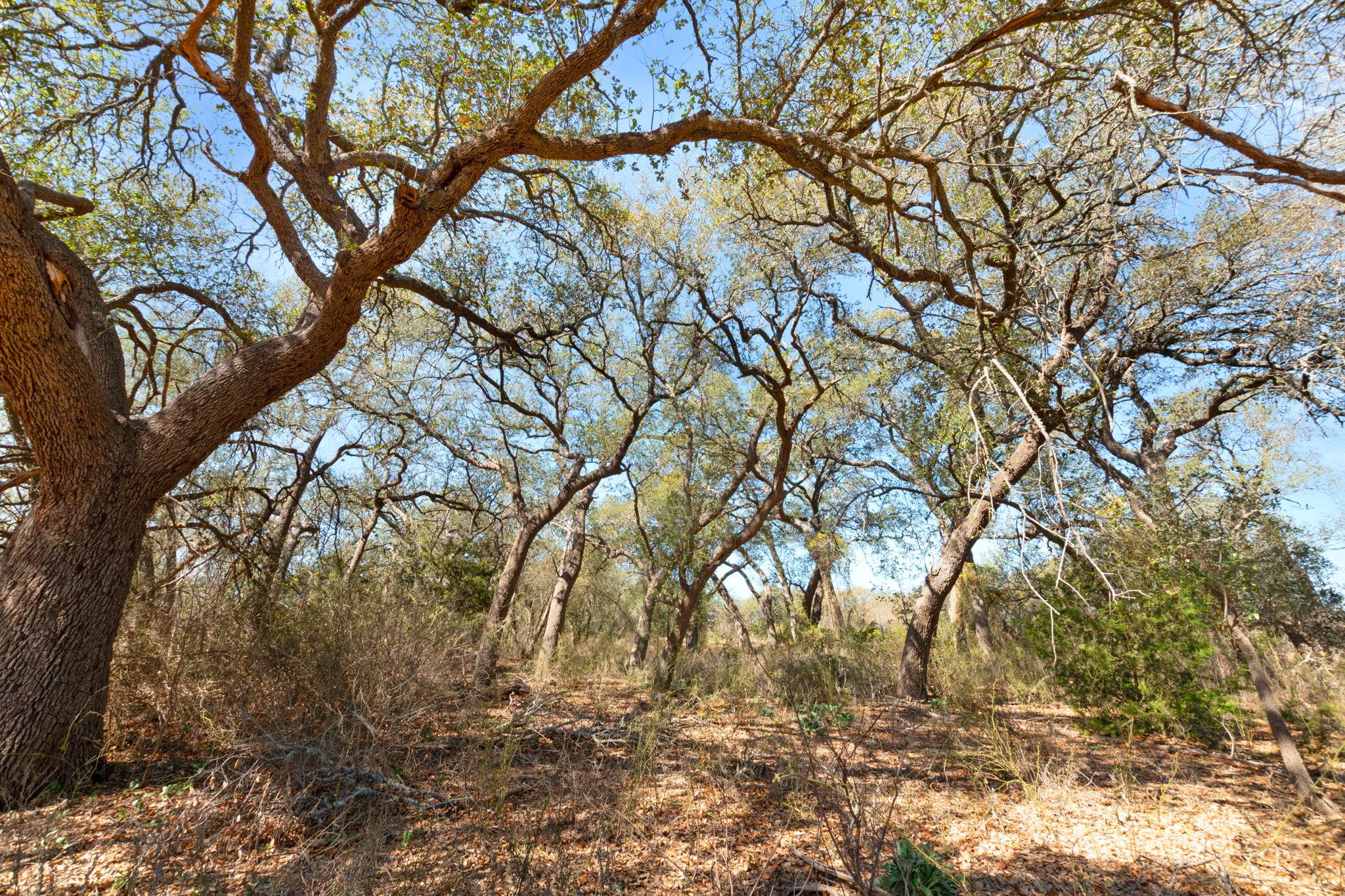 TBD Carpenter Court COR — photo 4