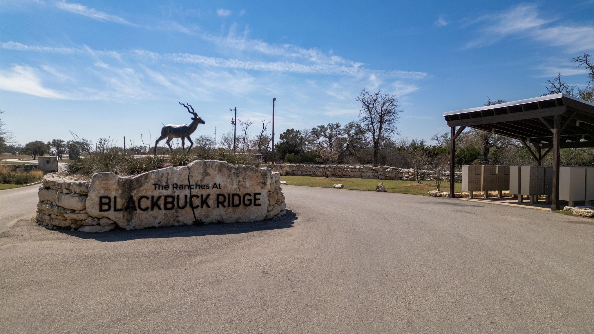 TBD Blackbuck Ridge DR — photo 3