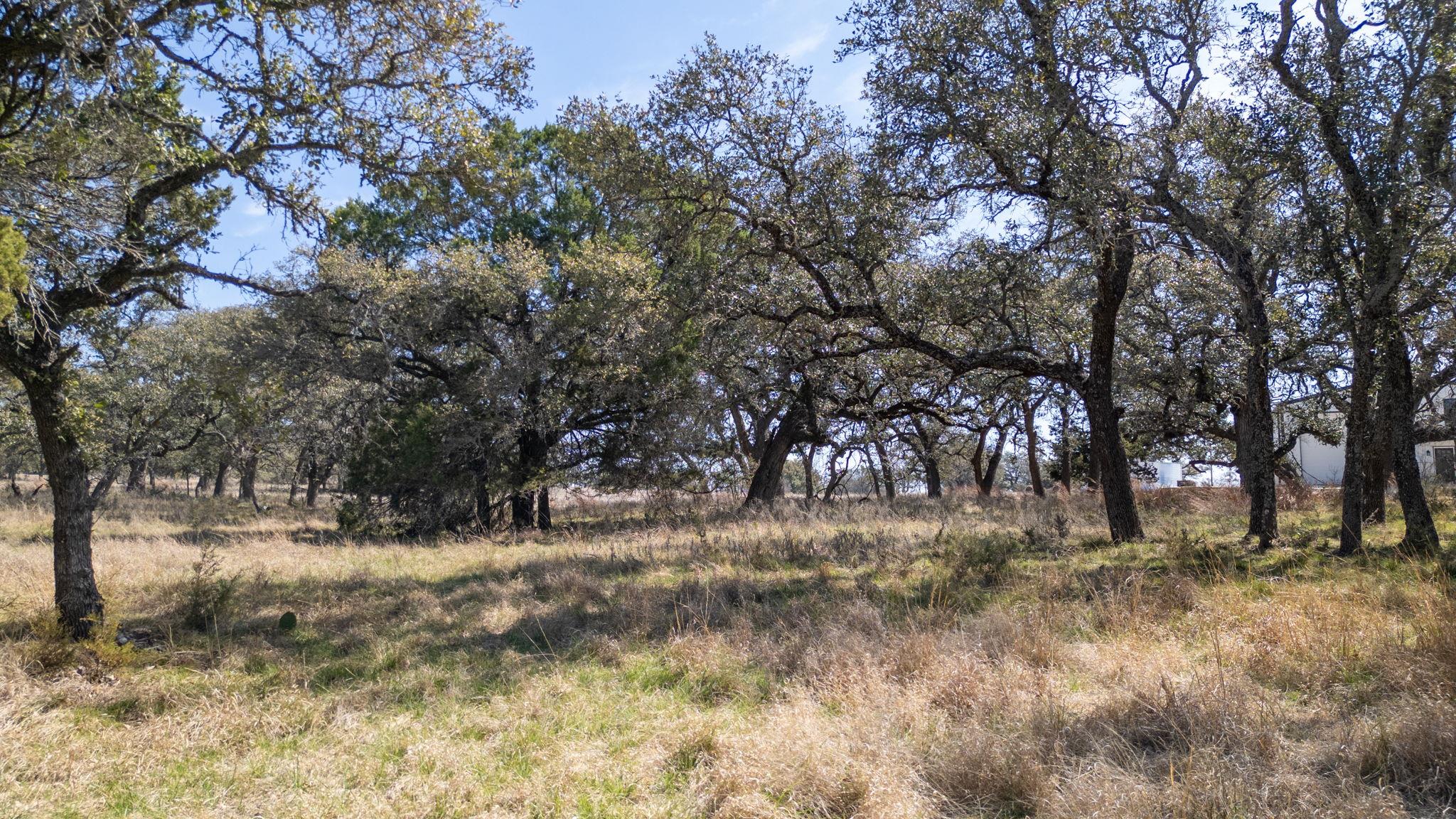 TBD Blackbuck Ridge DR — photo 4