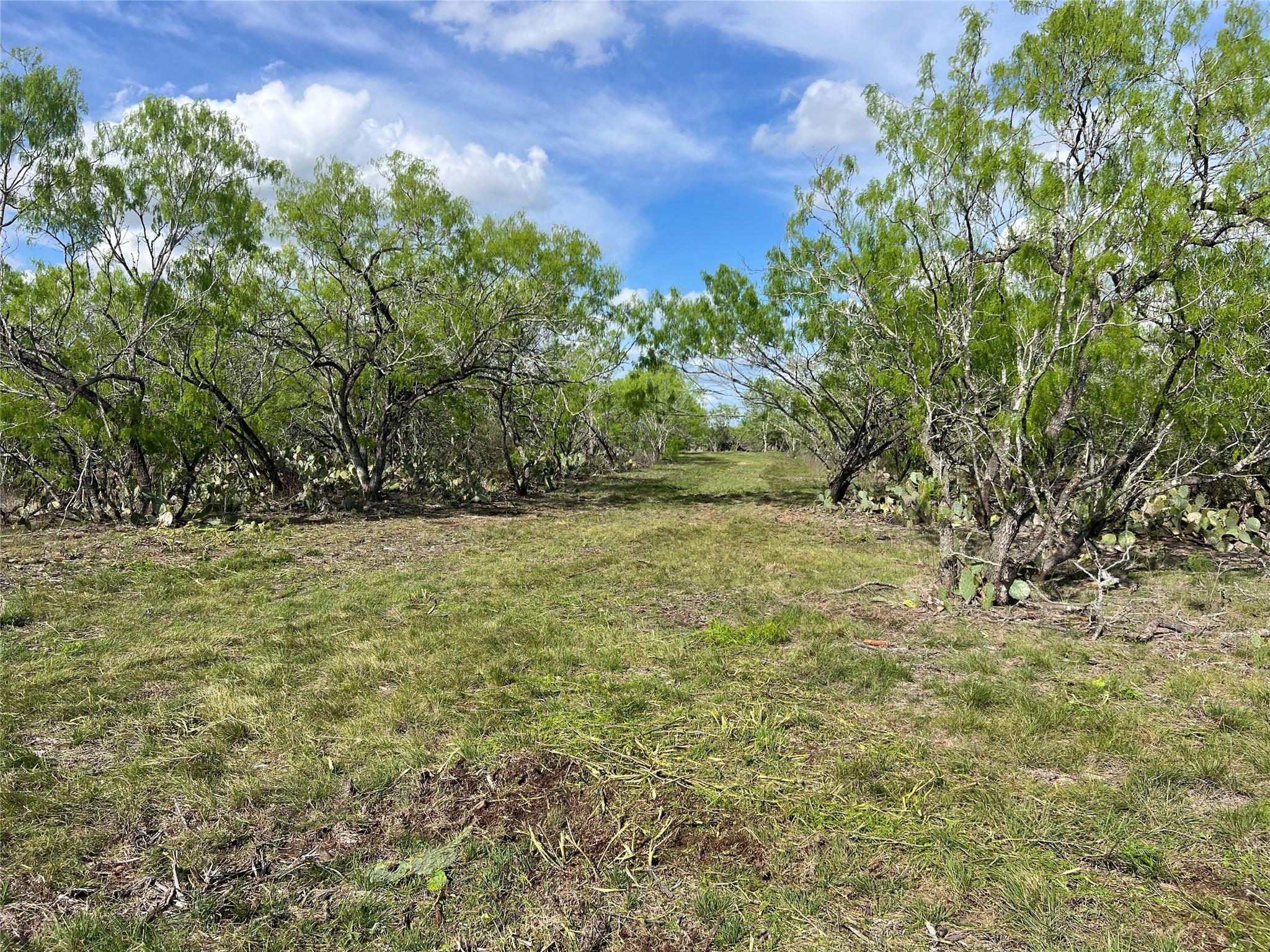 0 Cr 180 — photo 4