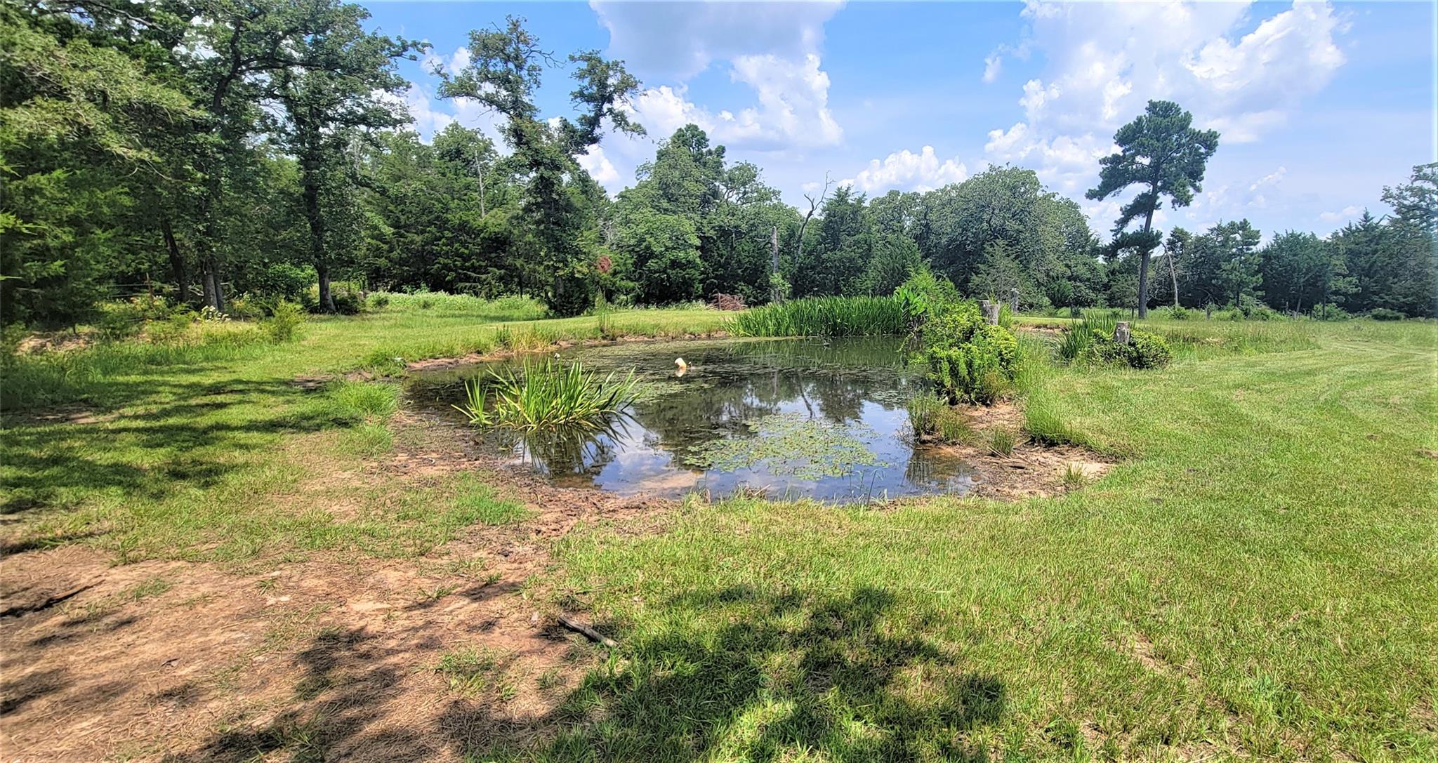 3321 County Road 457 — photo 3