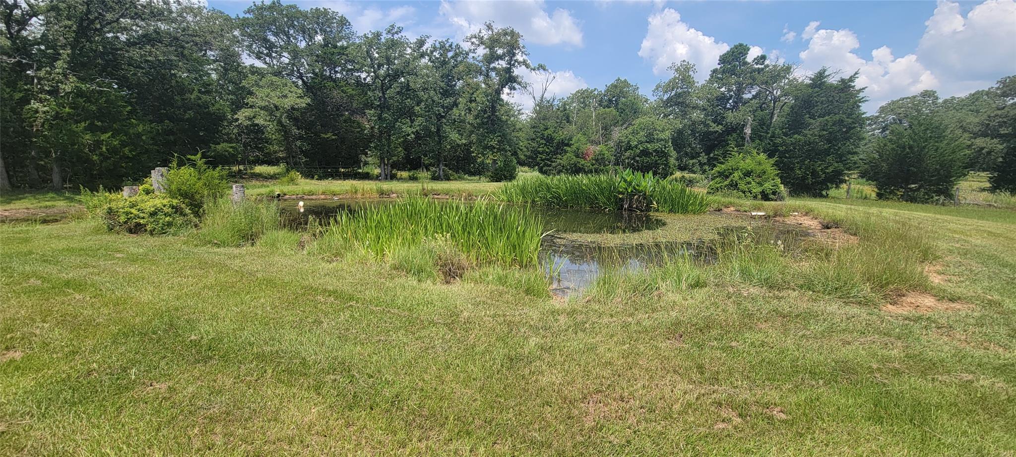 3321 County Road 457 — photo 4
