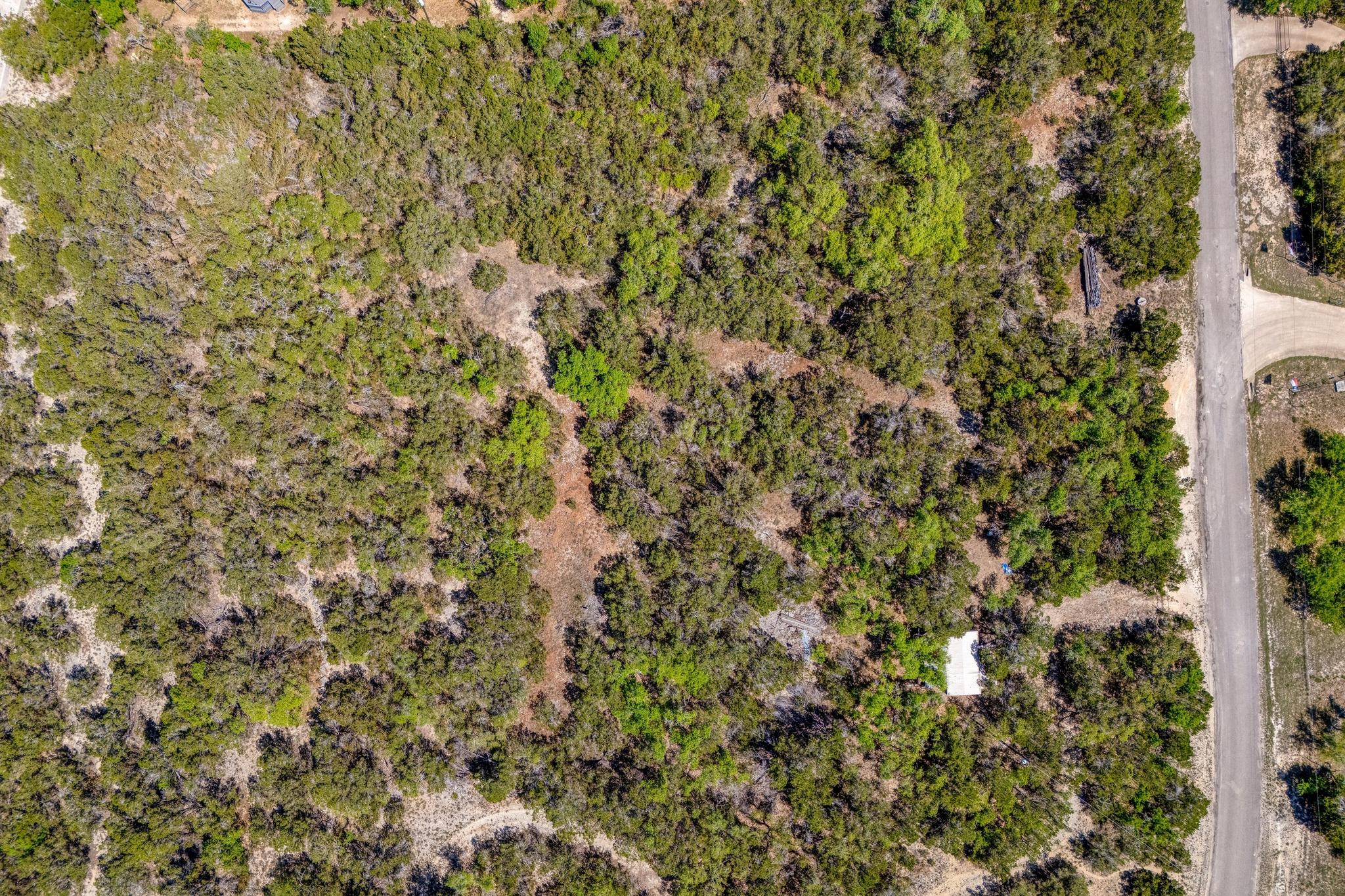 701 Plant Lady LN — photo 3